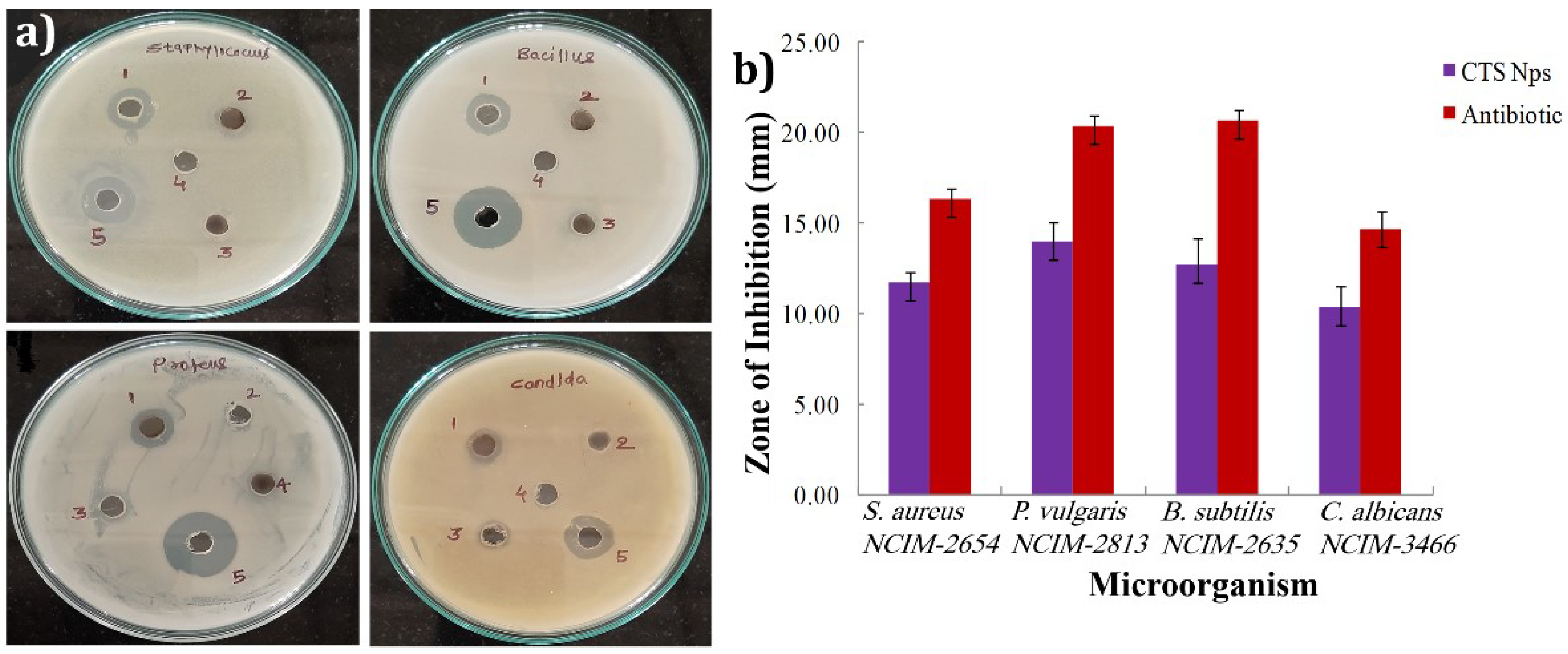 Materials 15 03126 g008 550