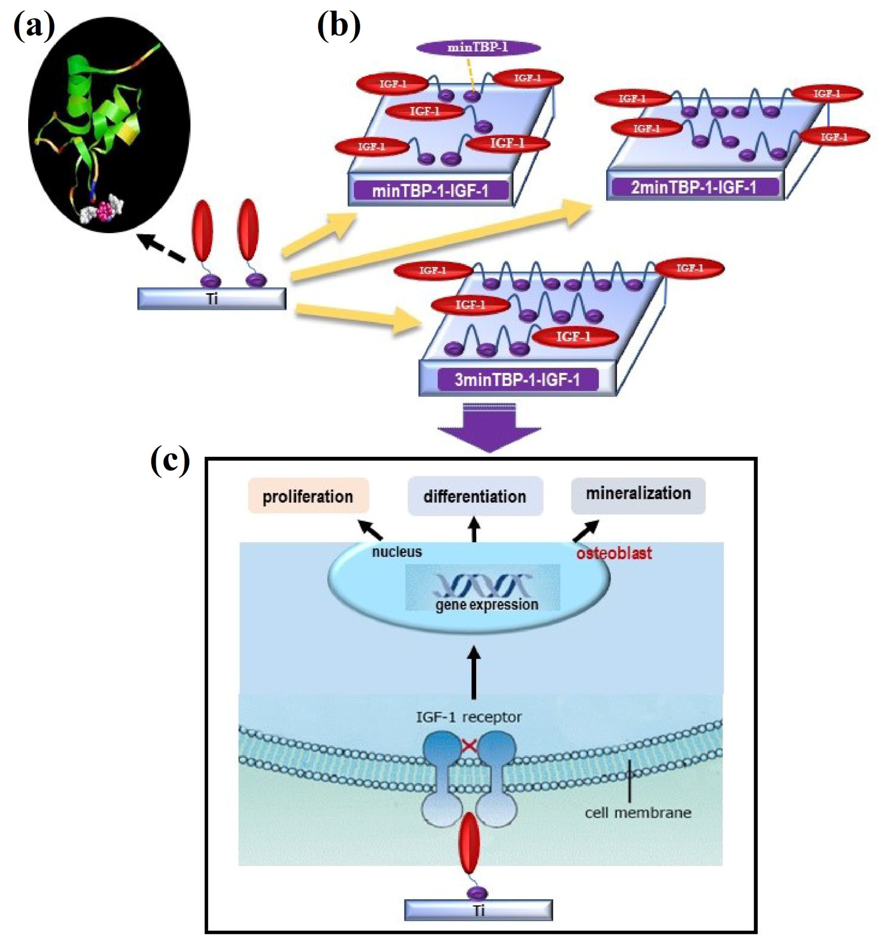 Materials 15 03134 g001 550