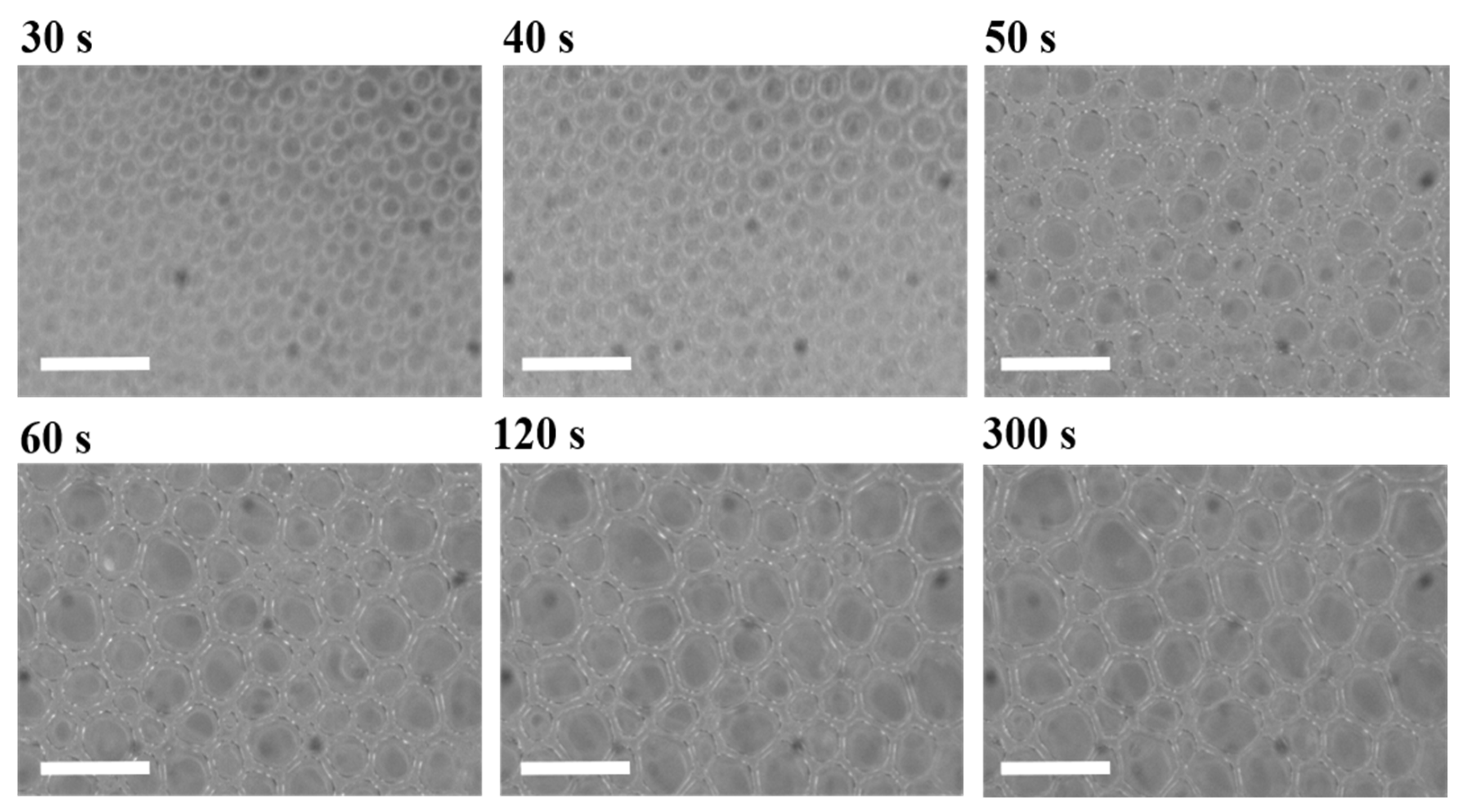 Materials 15 03135 g004 550