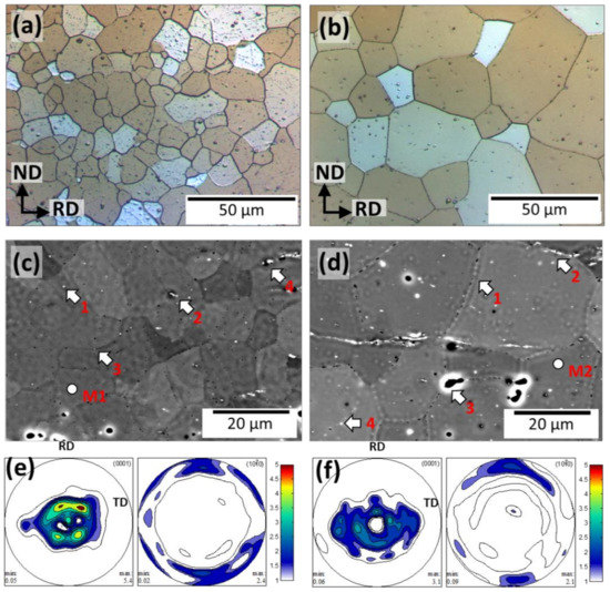 Materials | Free Full-Text | Degradation Behavior and Mechanical 