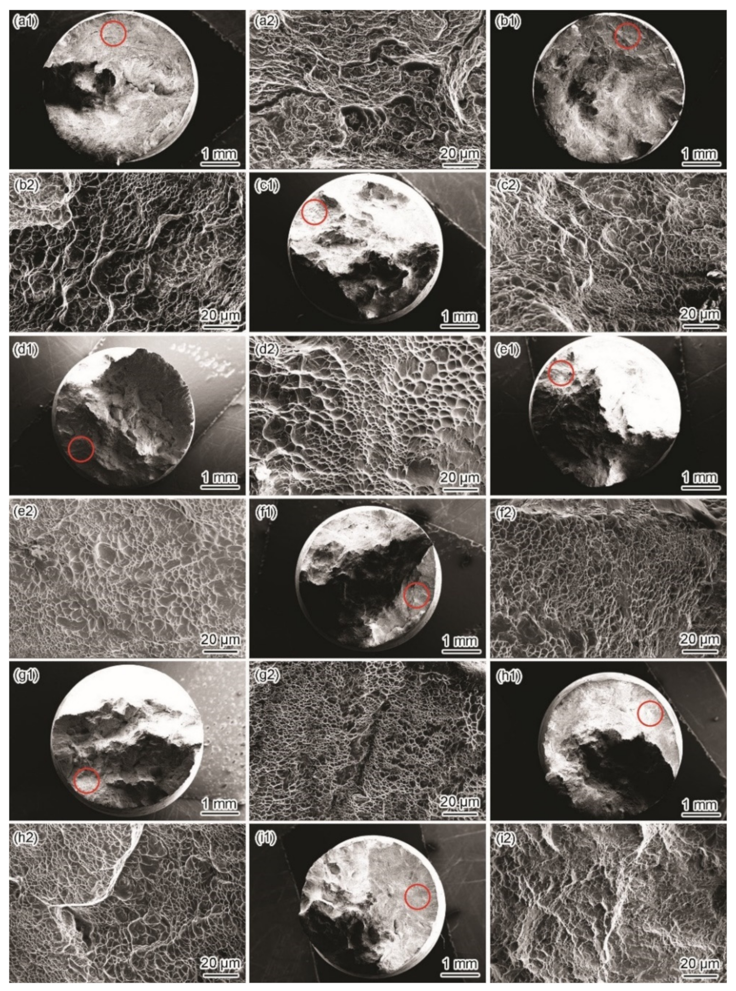 Materials 15 03201 g007 550