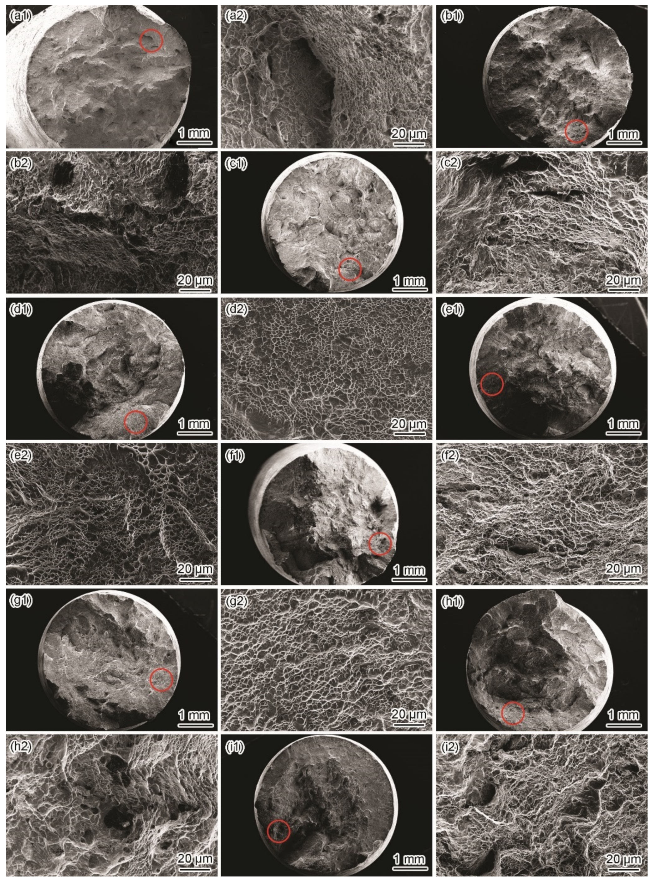 Materials 15 03201 g009 550