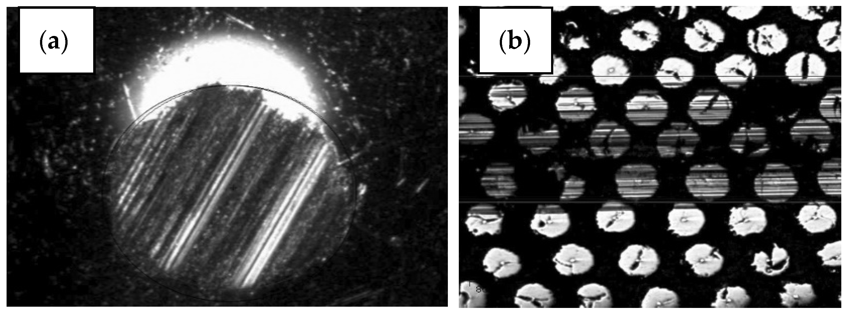 Materials 15 03207 g010 550