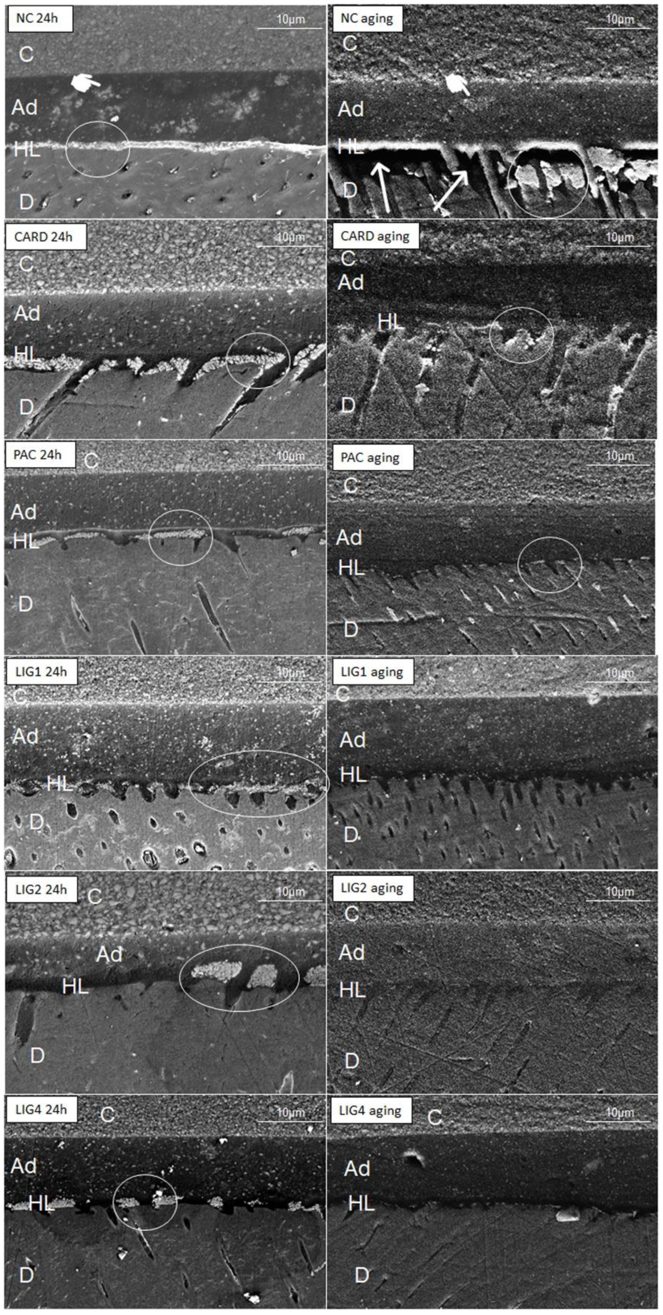 Materials 15 03218 g002 Materials 15 03218 g002