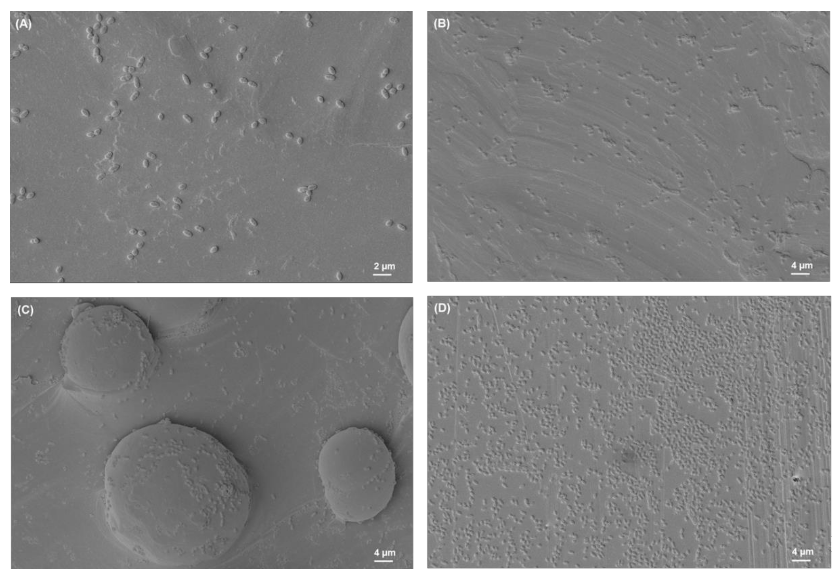 Materials 15 03228 g005