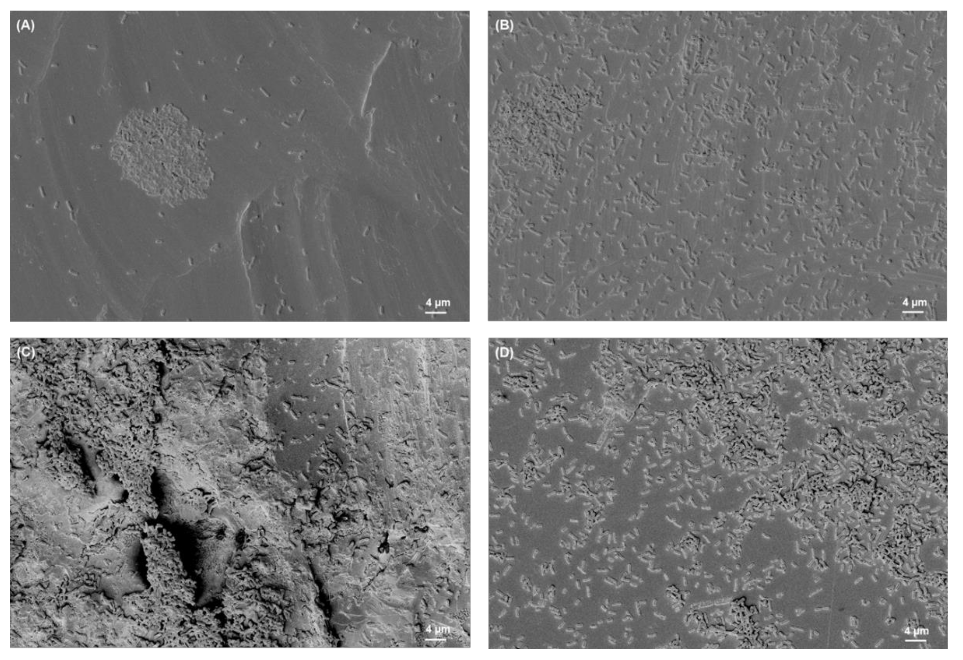 Materials 15 03228 g006