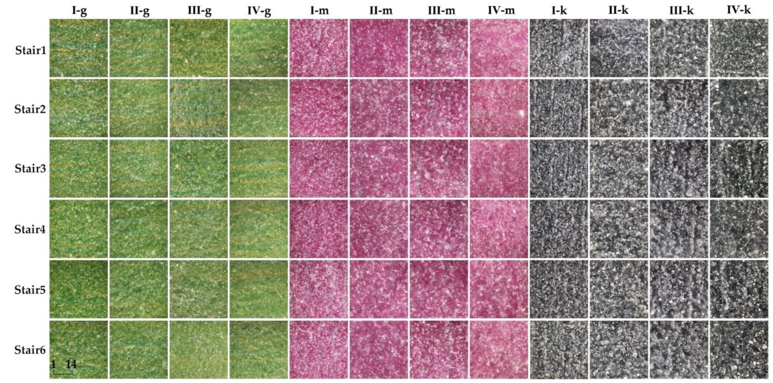 Materials 15 03245 g006 550