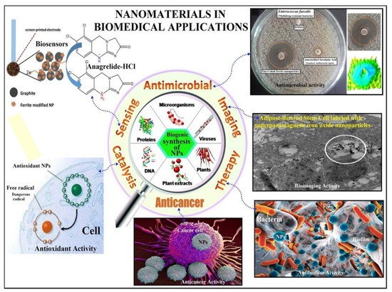 Surface Engineering of Nanomaterials with Polymers, Biomolecules, and ...