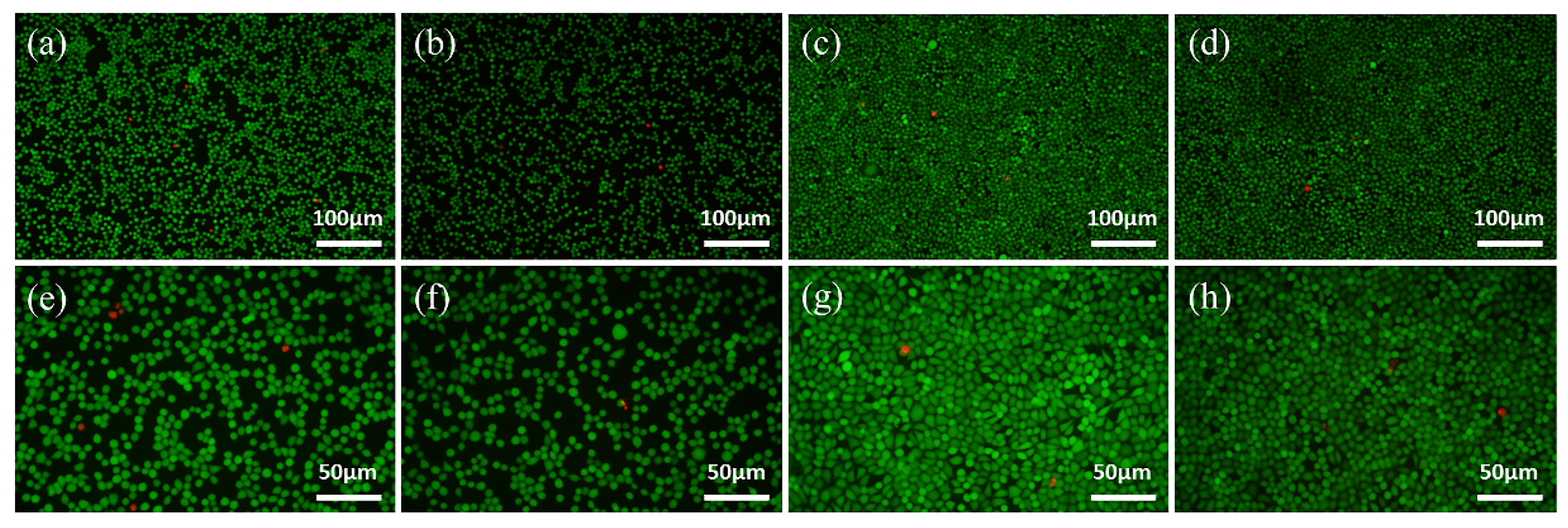Materials 15 03263 g009 Materials 15 03263 g009