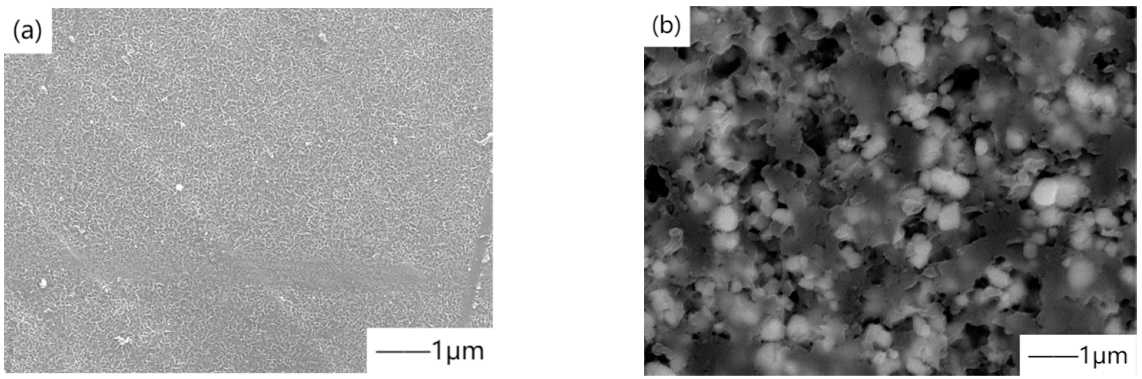 Materials 15 03291 g007 550