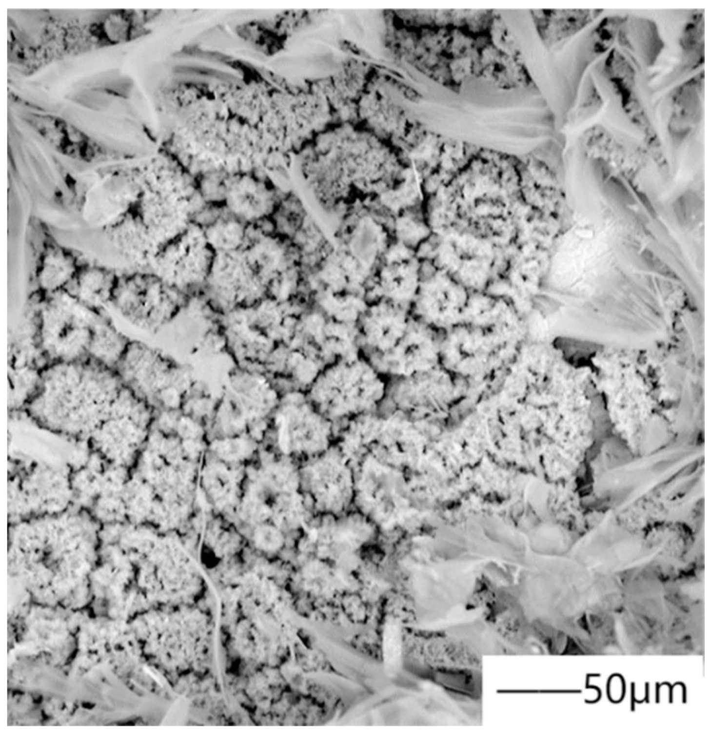 Materials 15 03291 g008 550