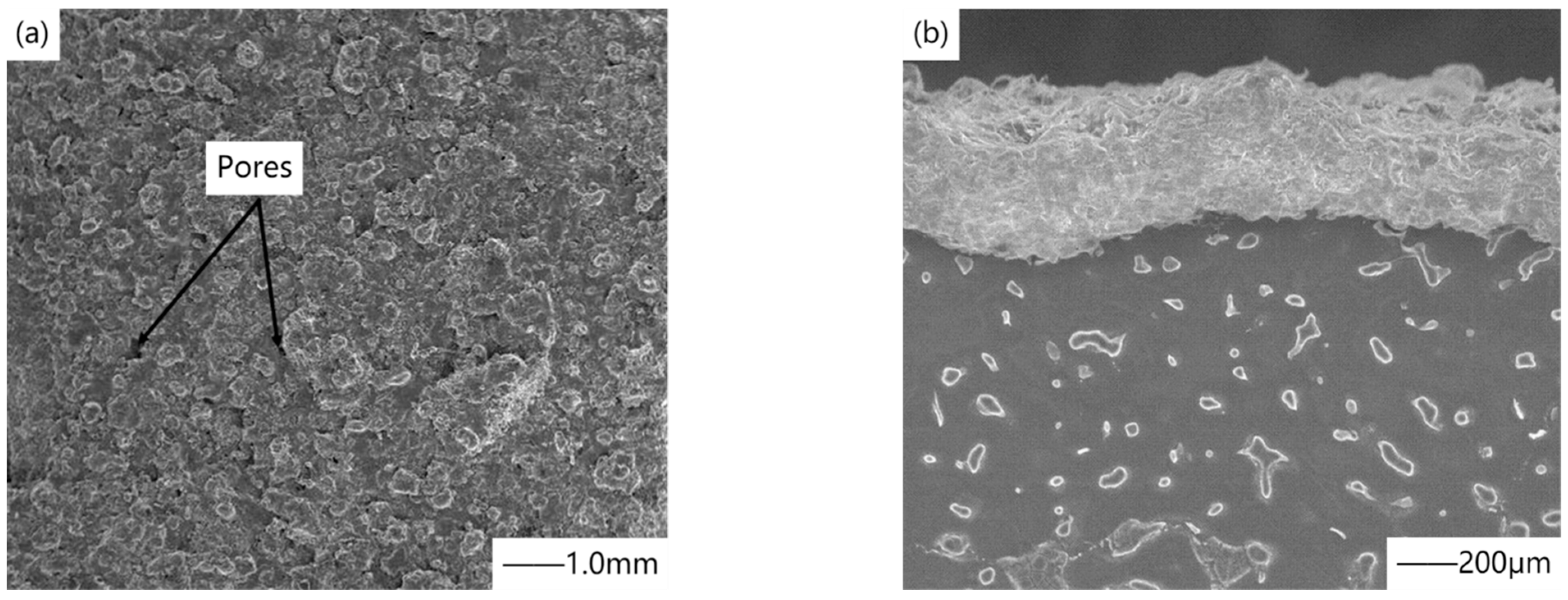 Materials Free FullText Review of the Effect of Surface Coating