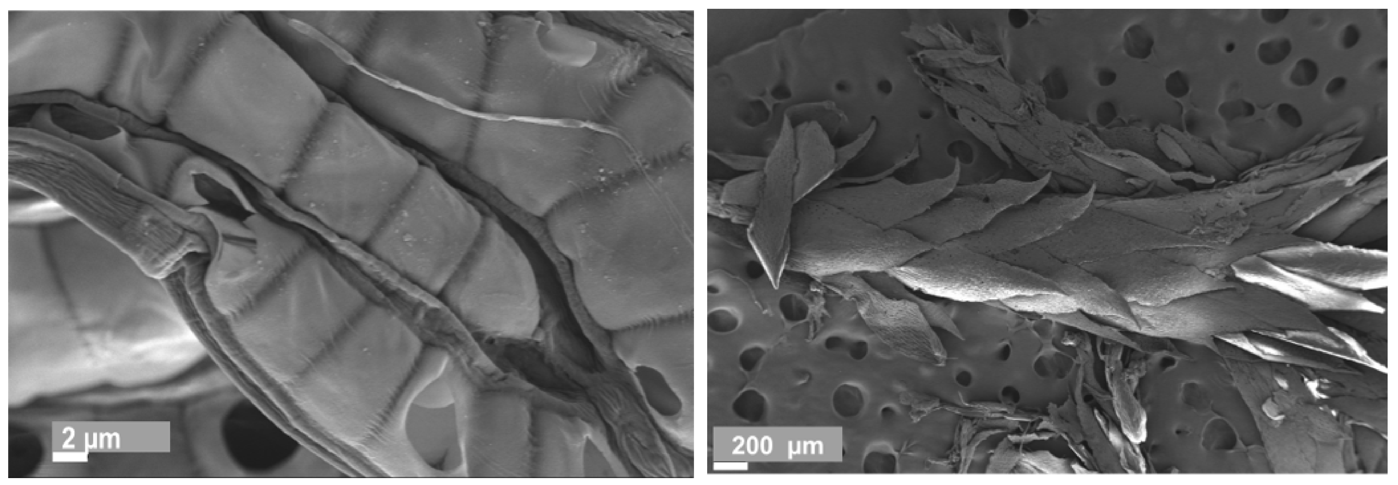 Materials 15 03299 g001 550