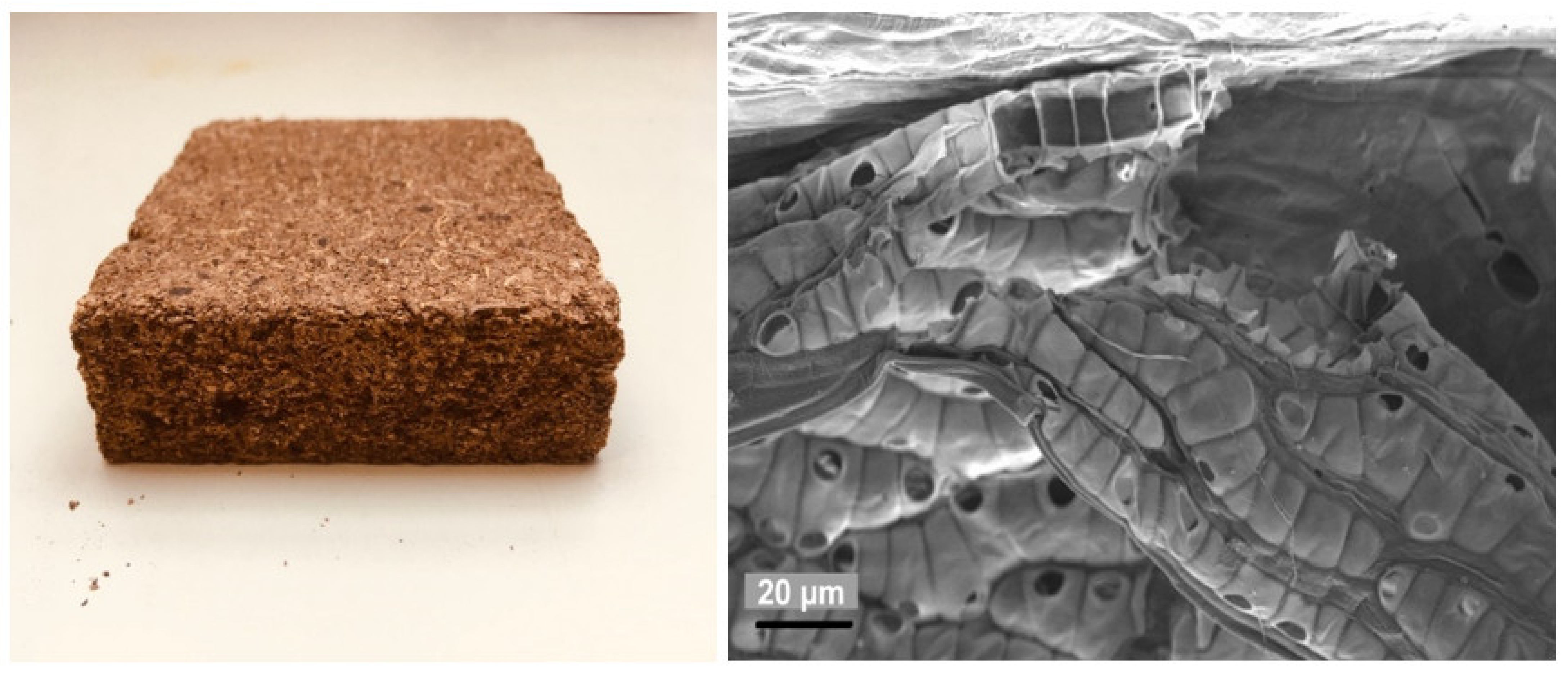 Materials 15 03299 g002 550