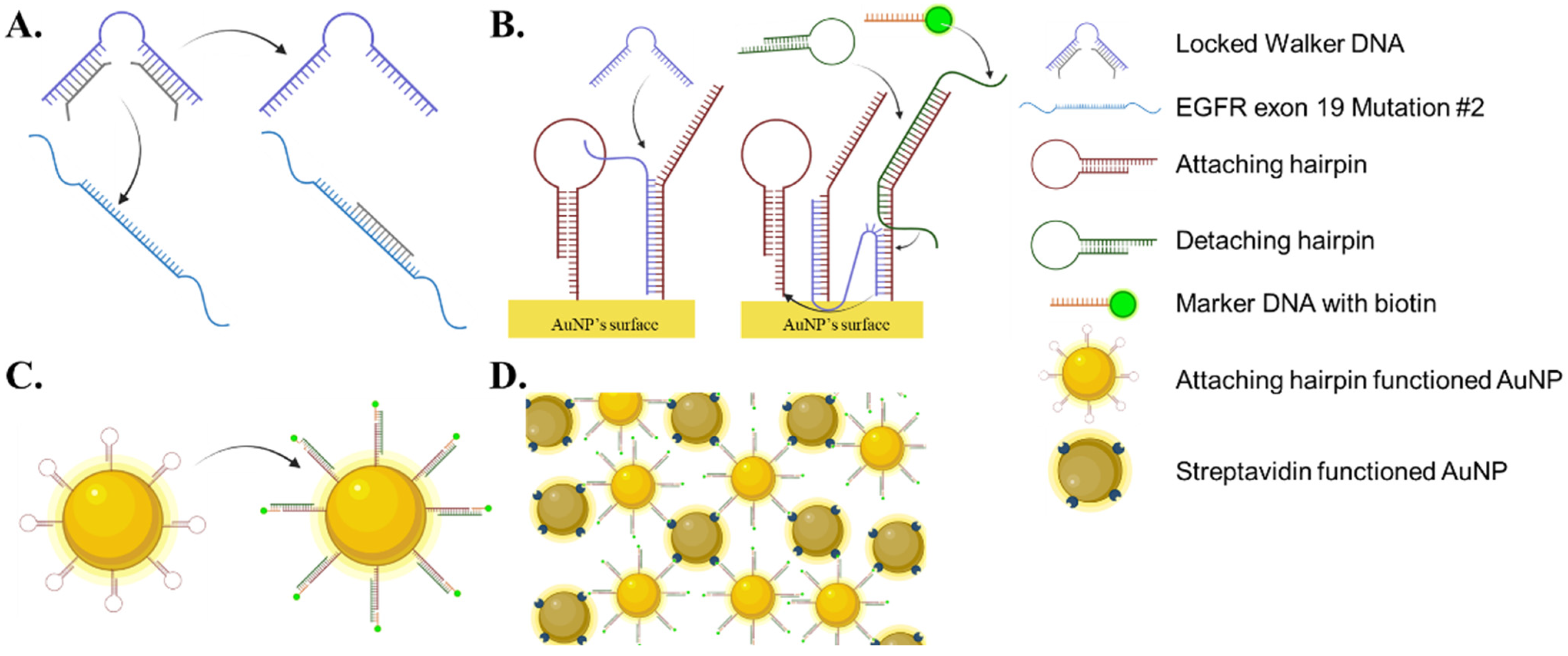 Materials 15 03301 g001
