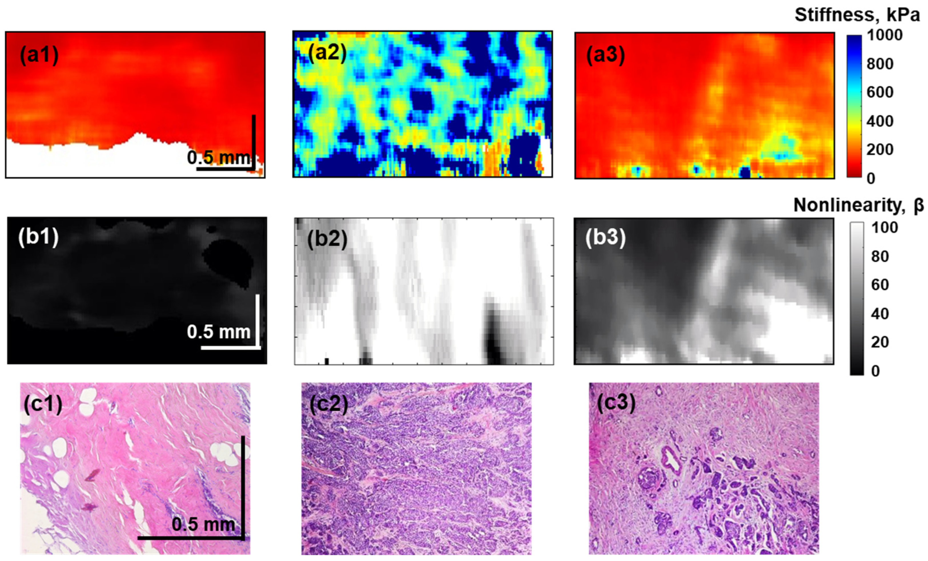 Materials 15 03308 g004 Materials 15 03308 g004