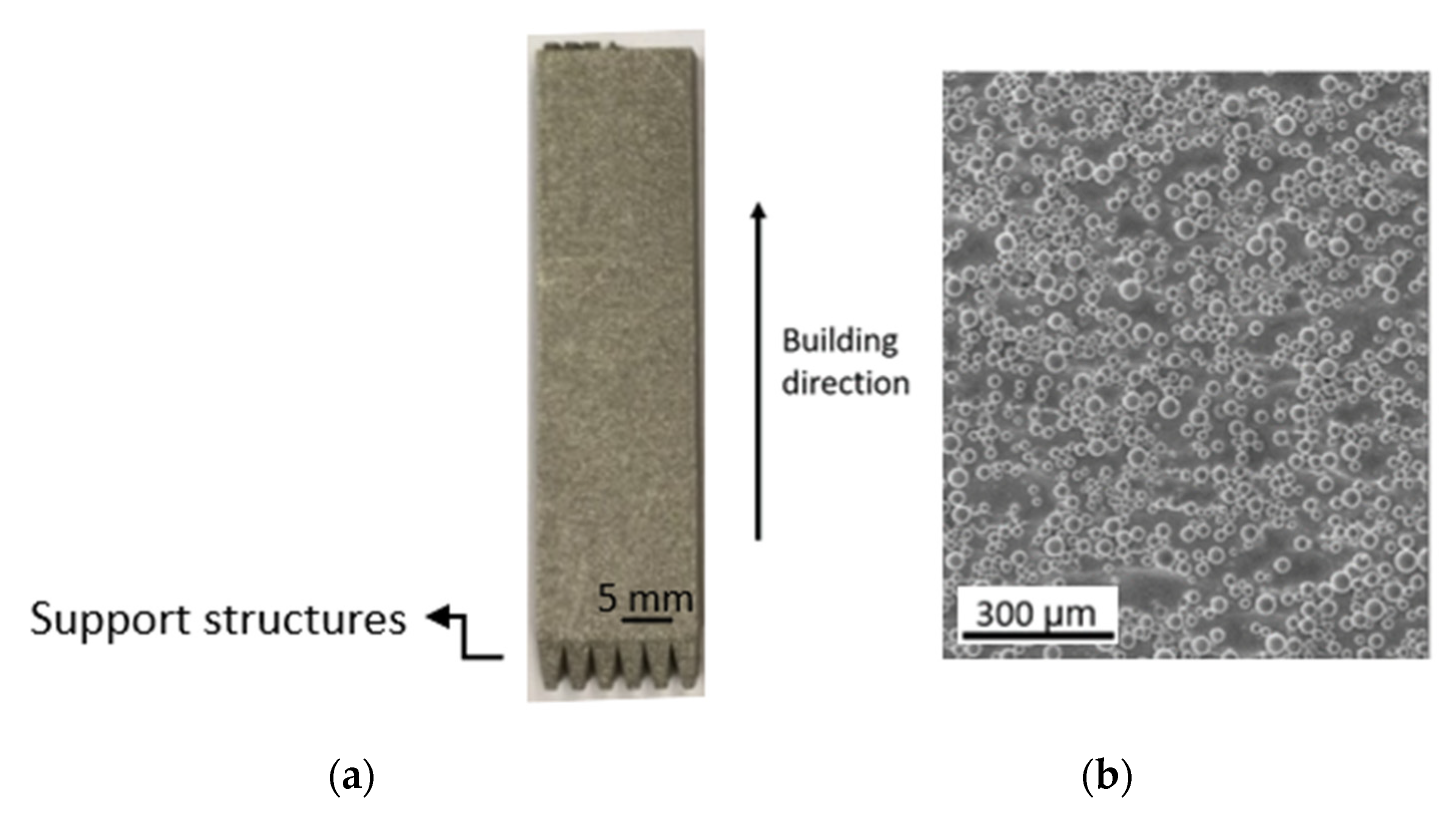 Materials 15 03323 g001 550