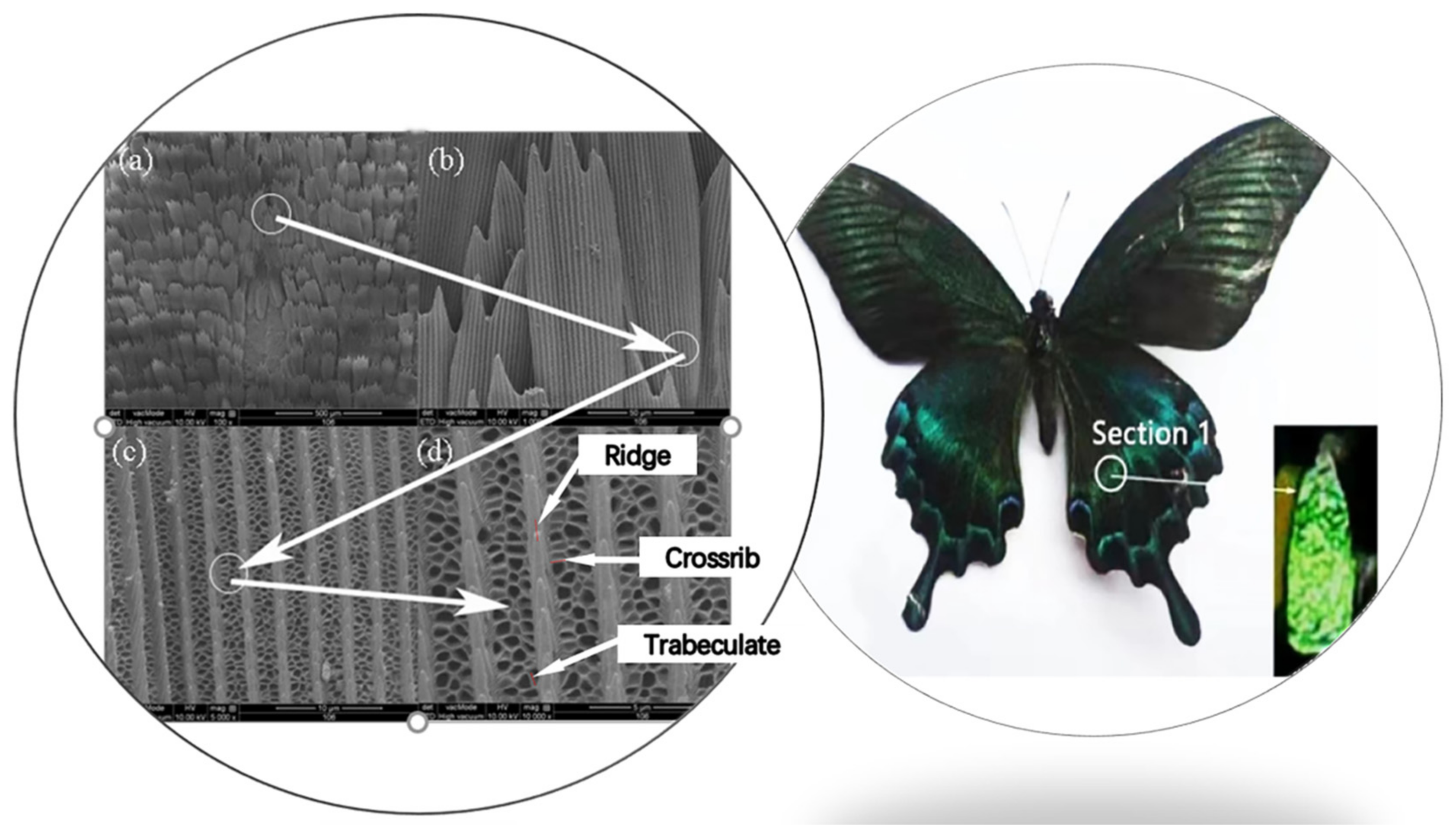 Materials 15 03334 g001 550