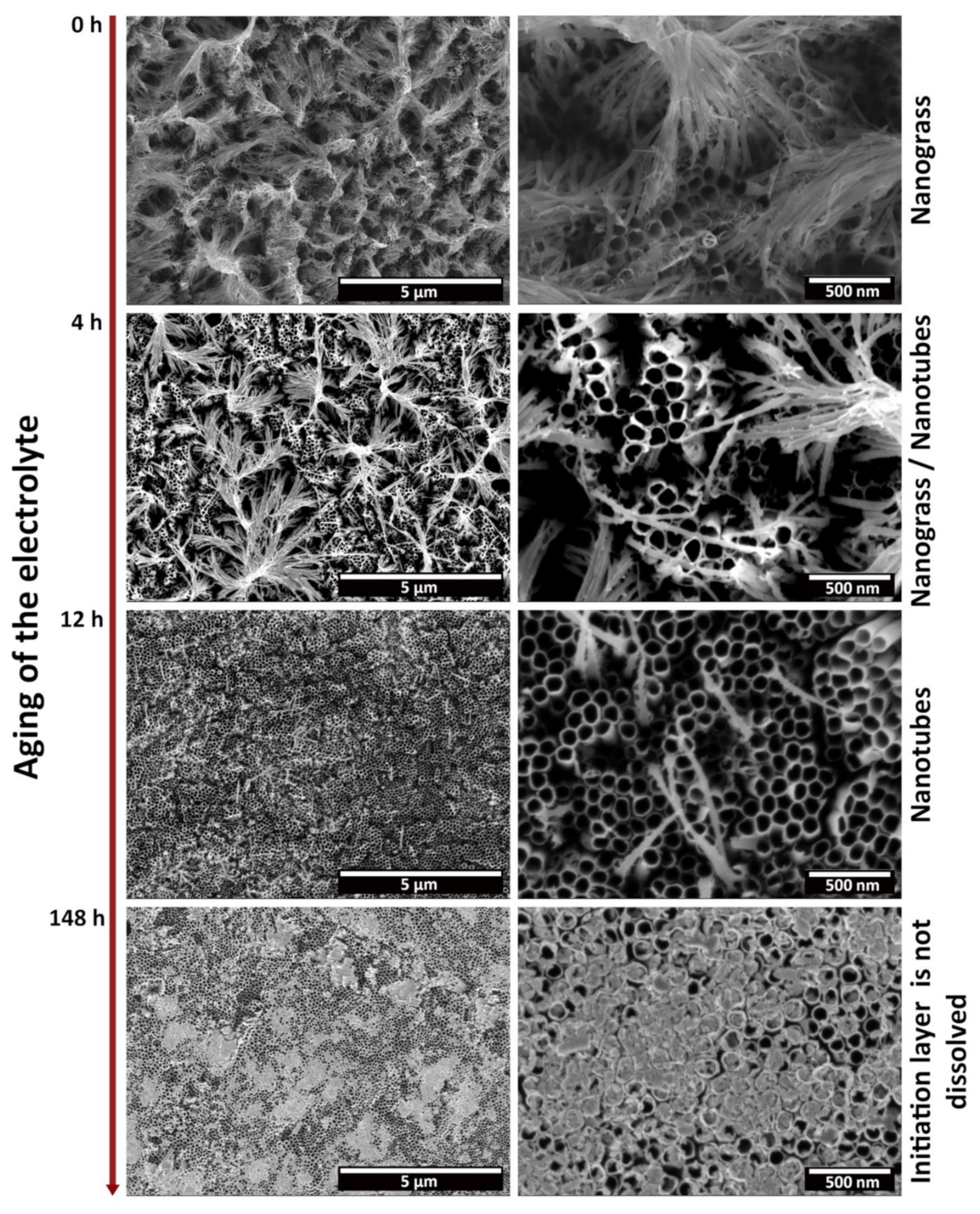 Materials 15 03338 g003