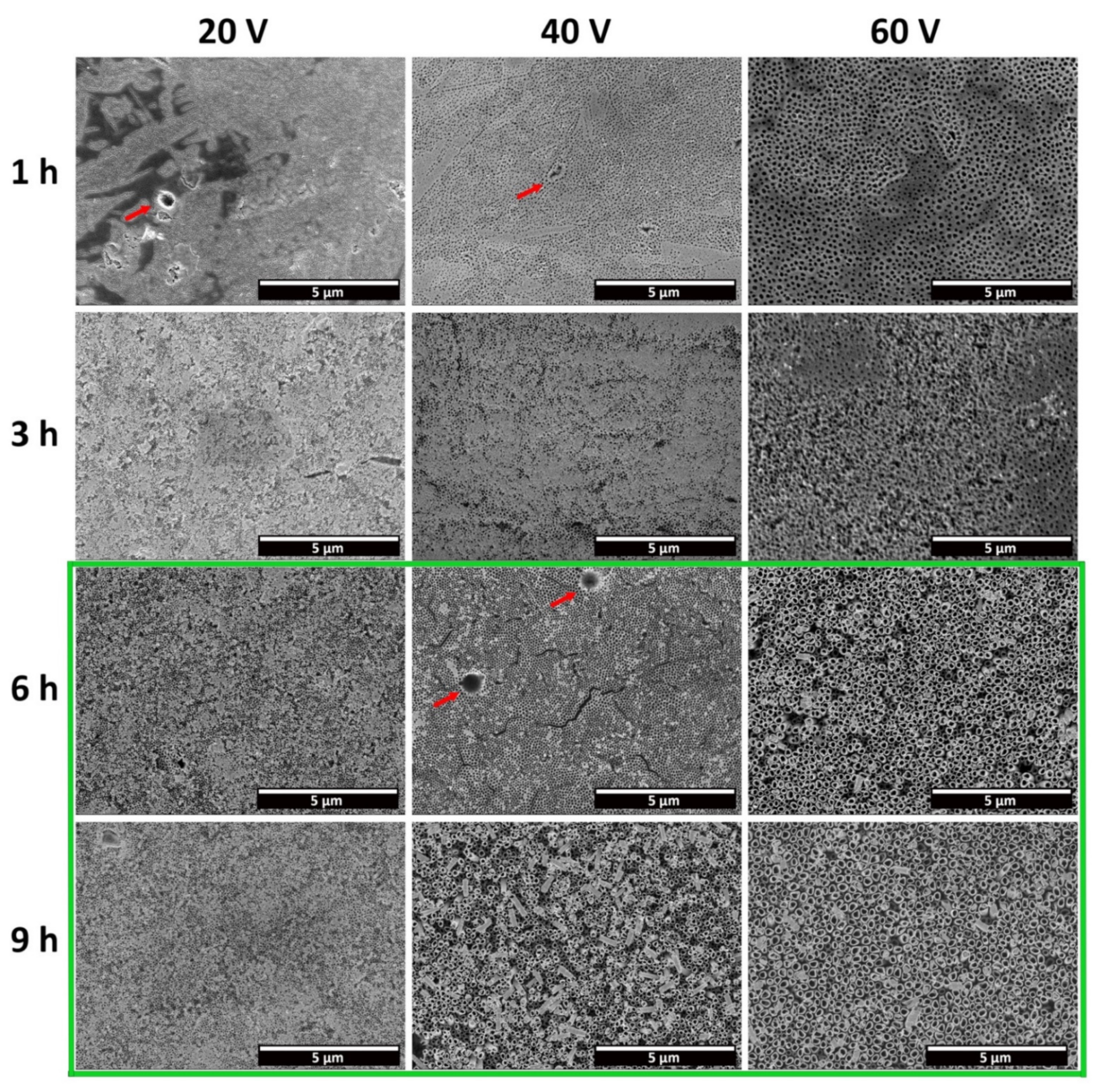 Materials 15 03338 g005
