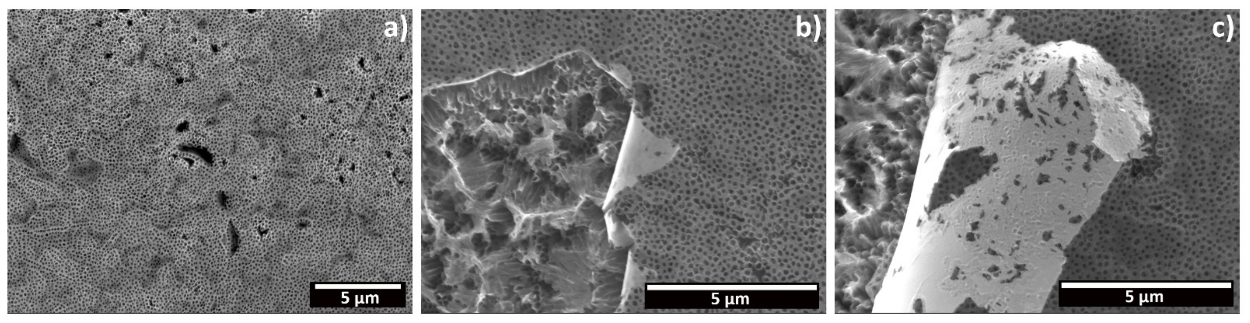 Materials 15 03338 g006