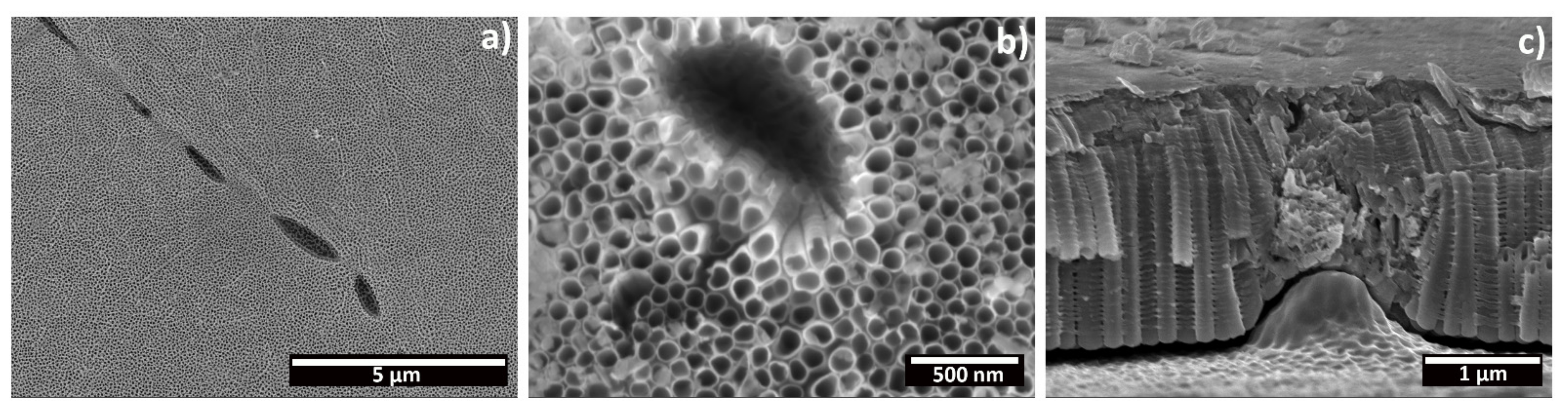 Materials 15 03338 g007