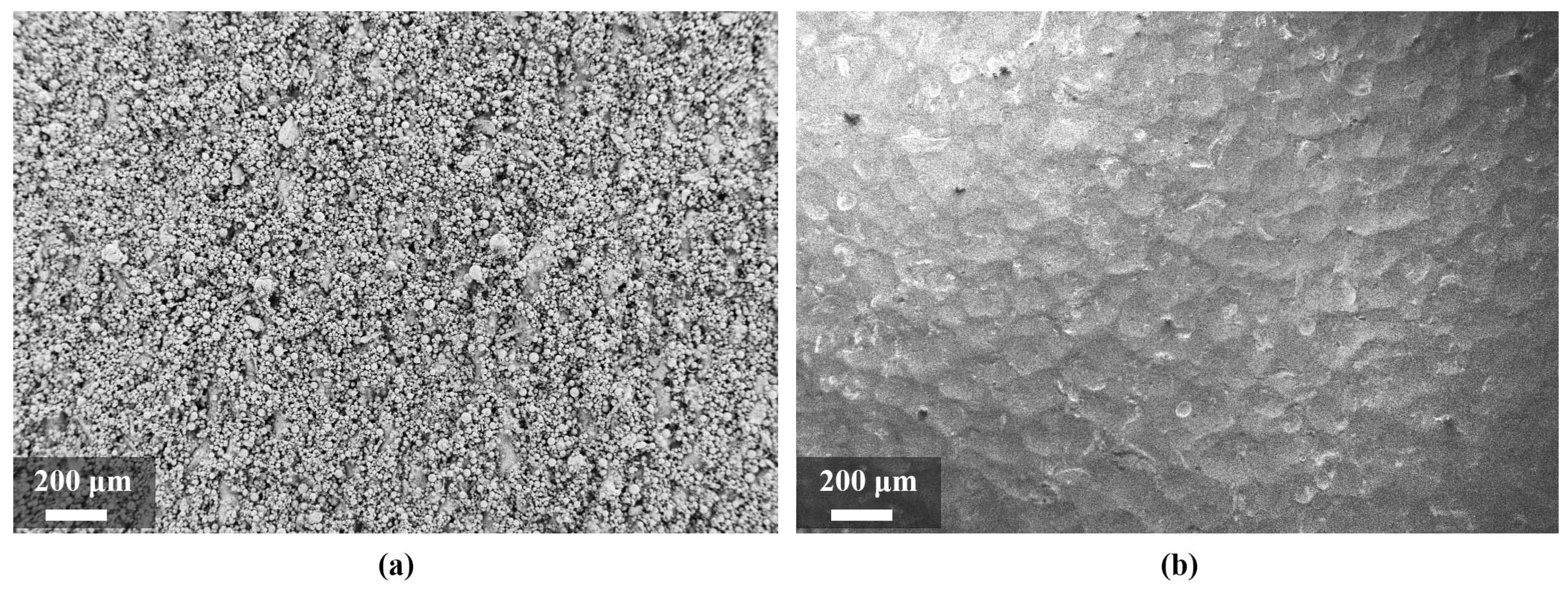 Materials 15 03352 g008 550