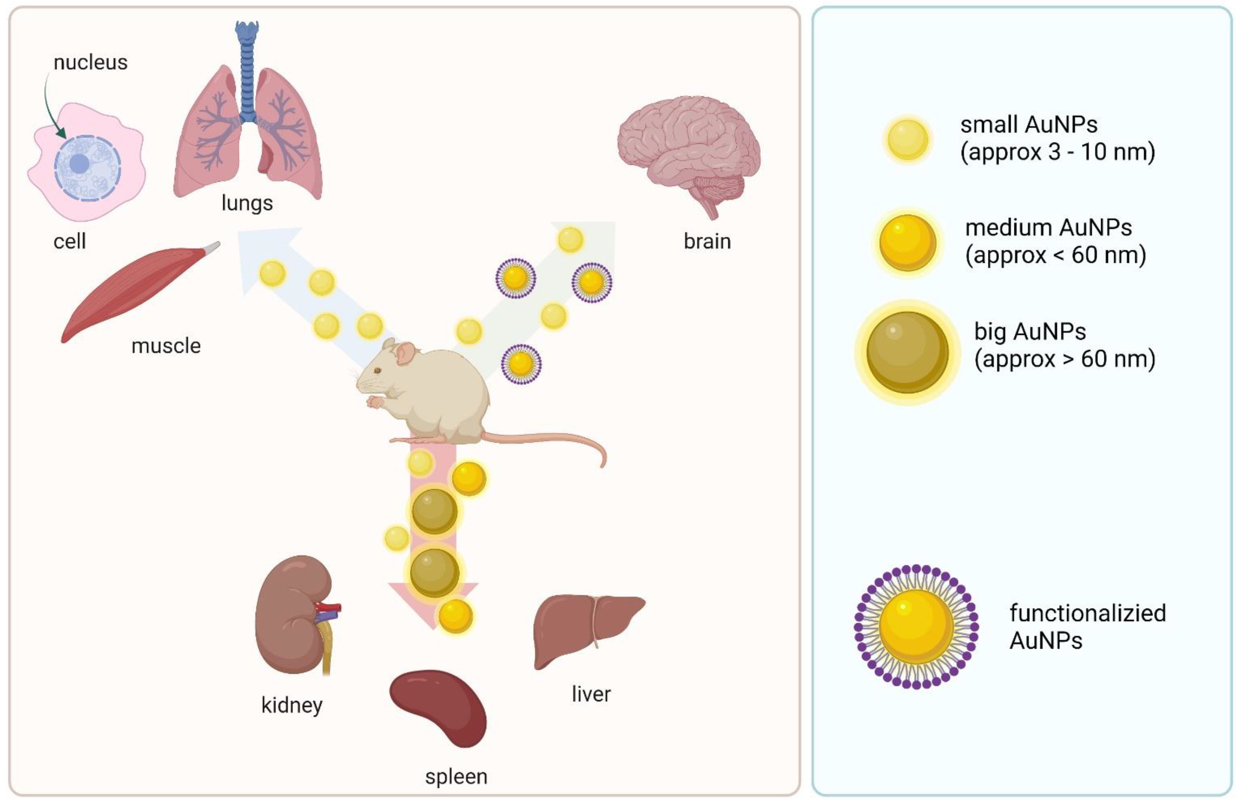 Materials 15 03355 g002 550