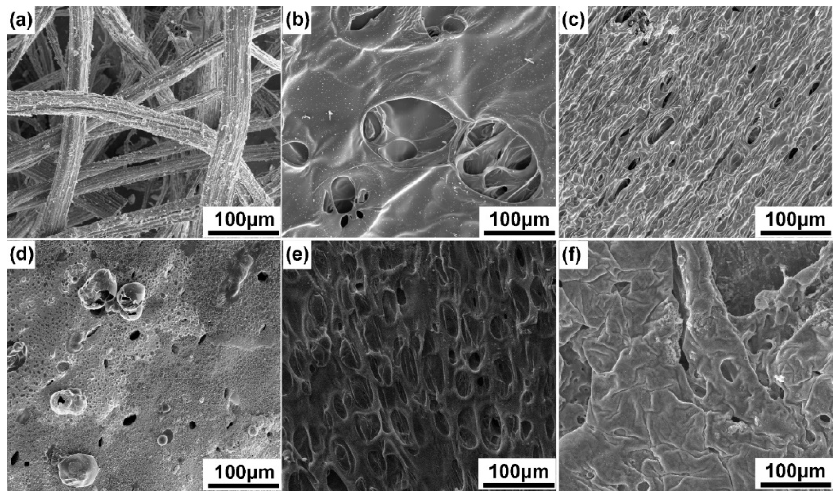 Materials 15 03358 g007 550