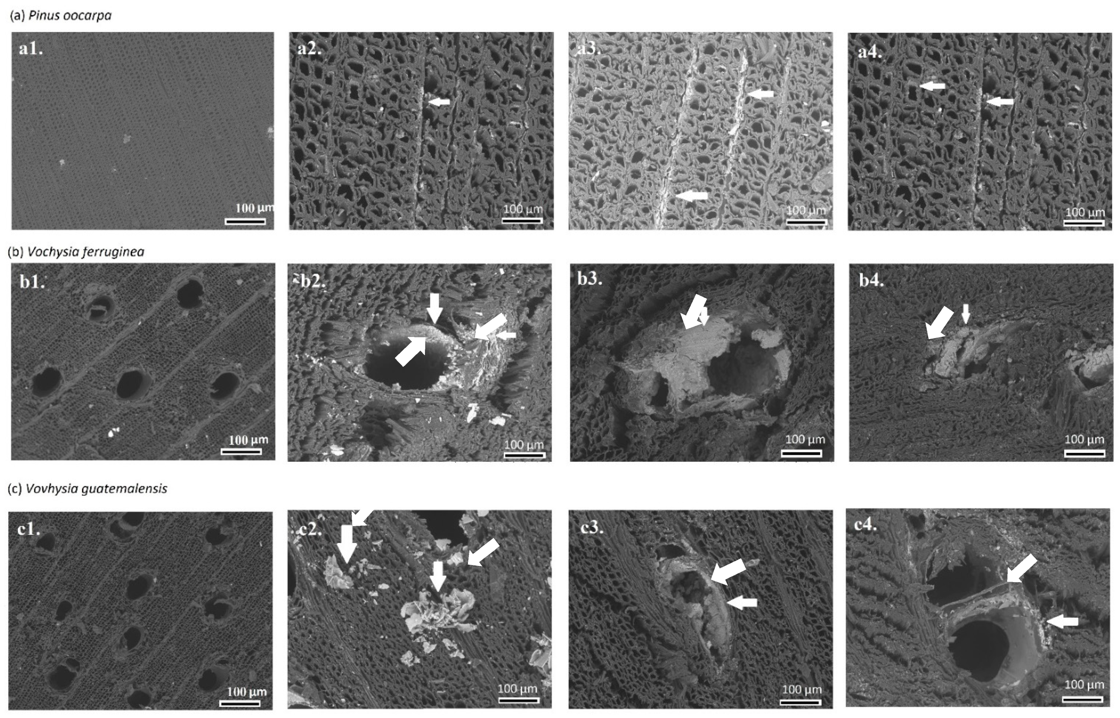 Materials 15 03394 g002