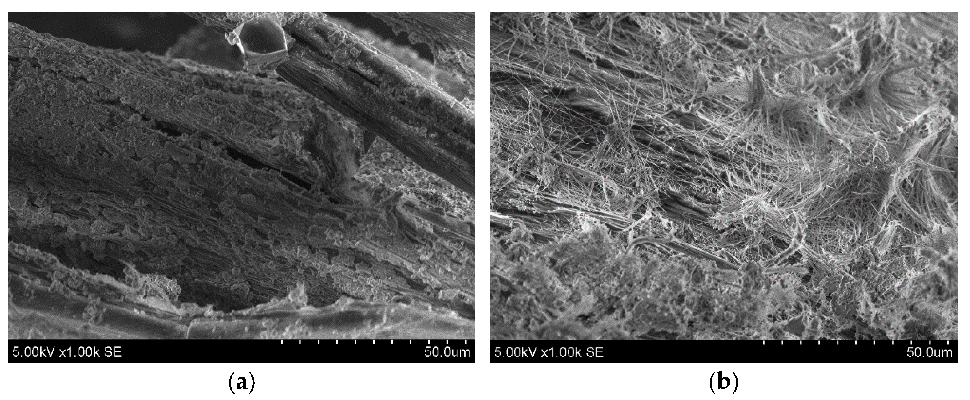 Materials 15 03407 g007