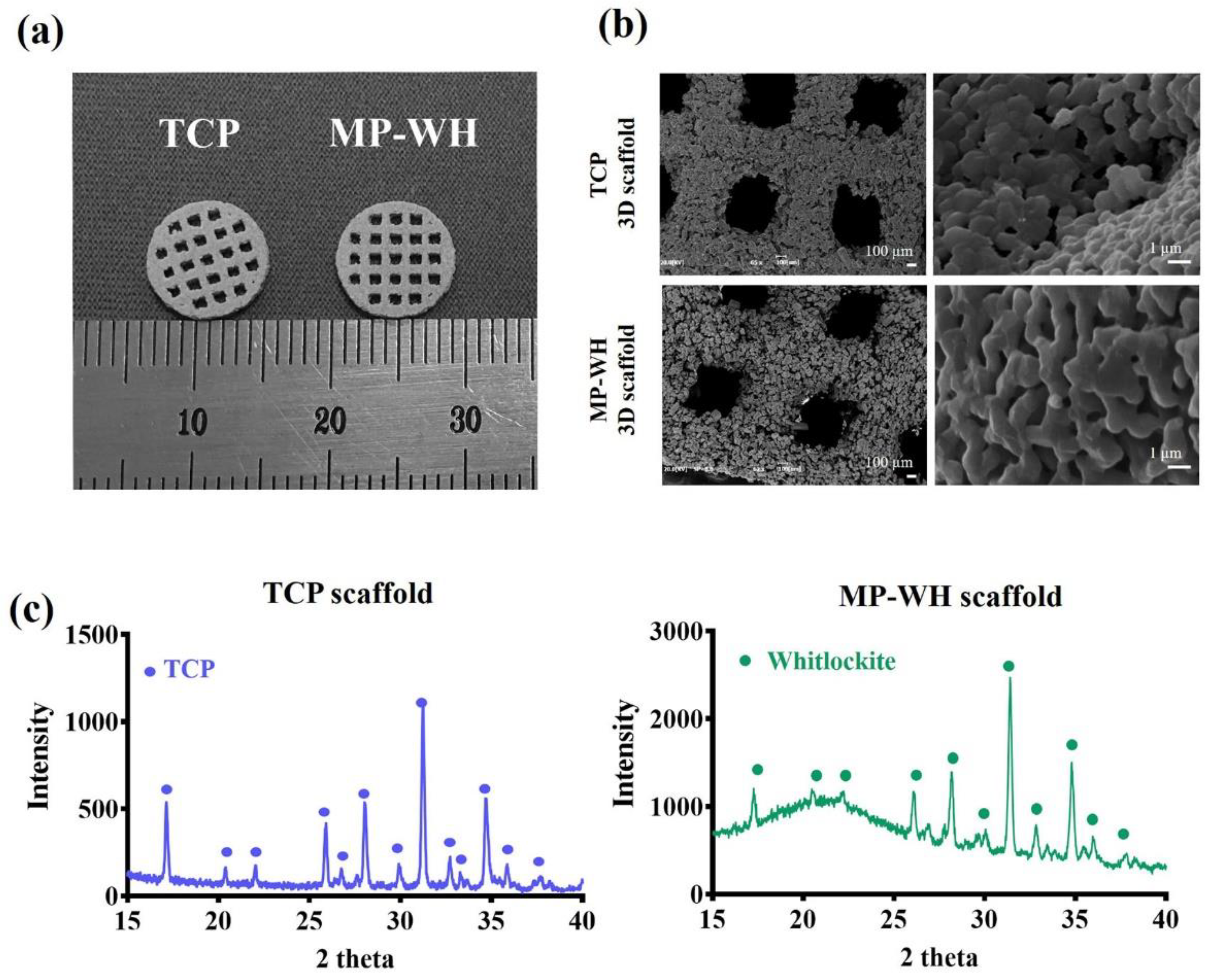 Materials 15 03413 g001 550