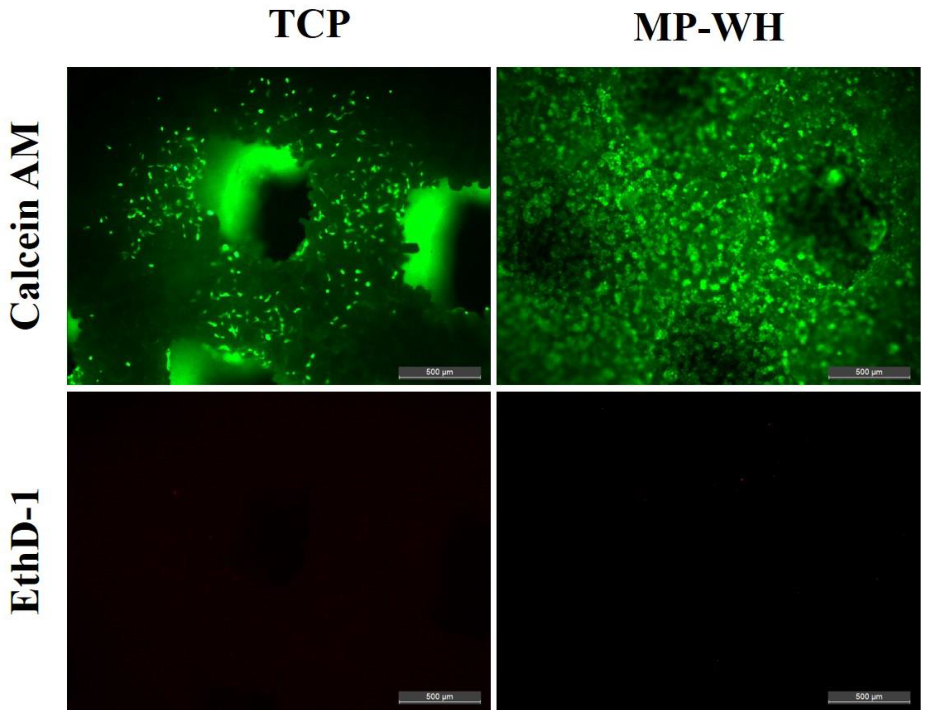 Materials 15 03413 g004 550