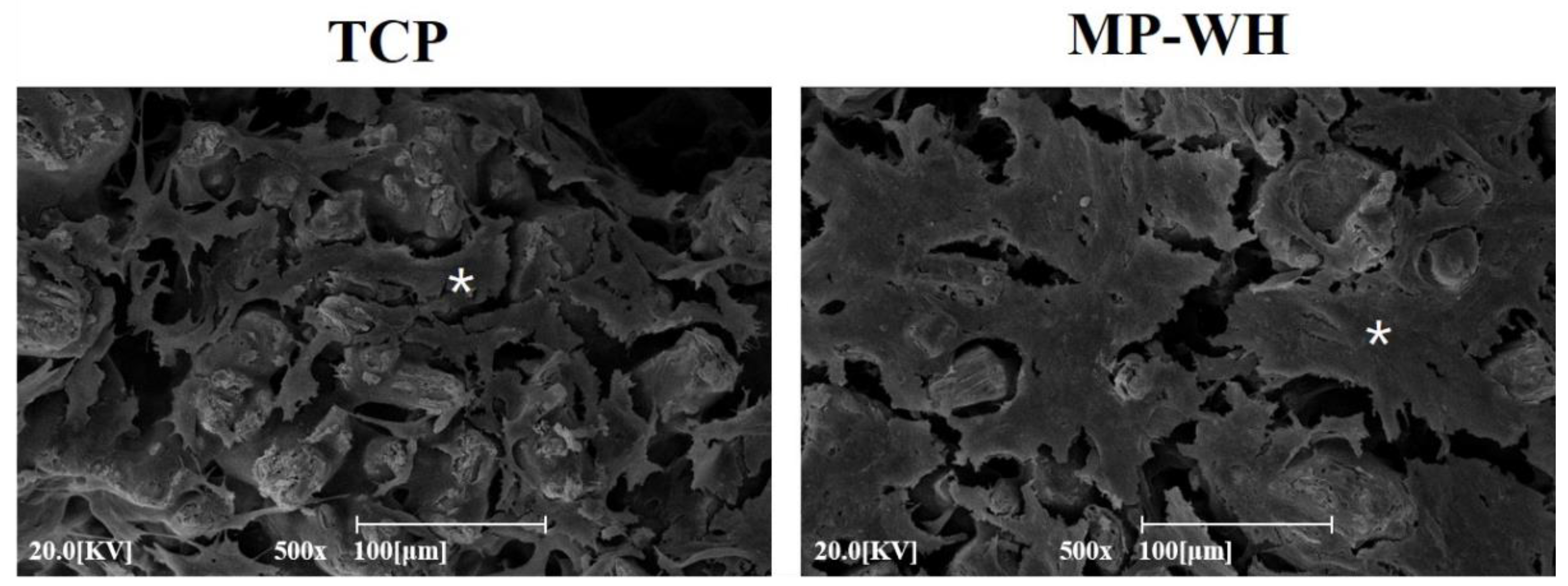 Materials 15 03413 g005 550