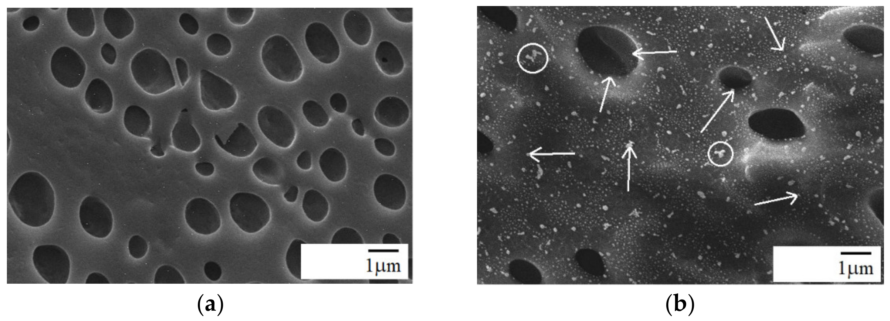 Materials 15 03421 g004