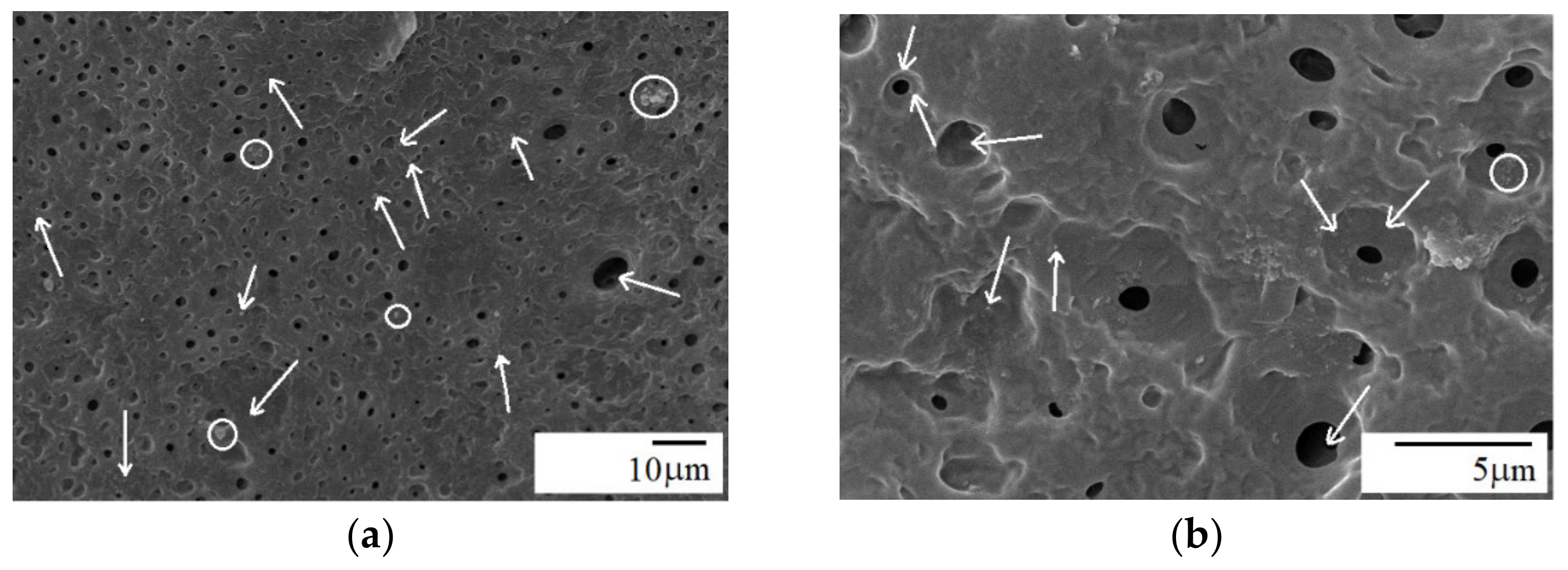 Materials 15 03421 g006