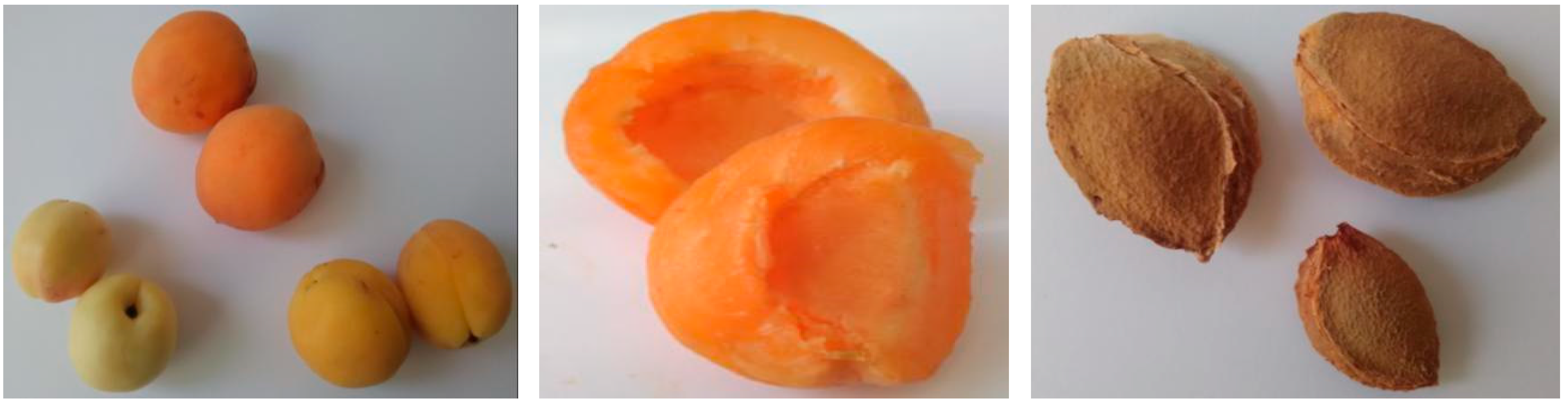 Materials 15 03428 g001