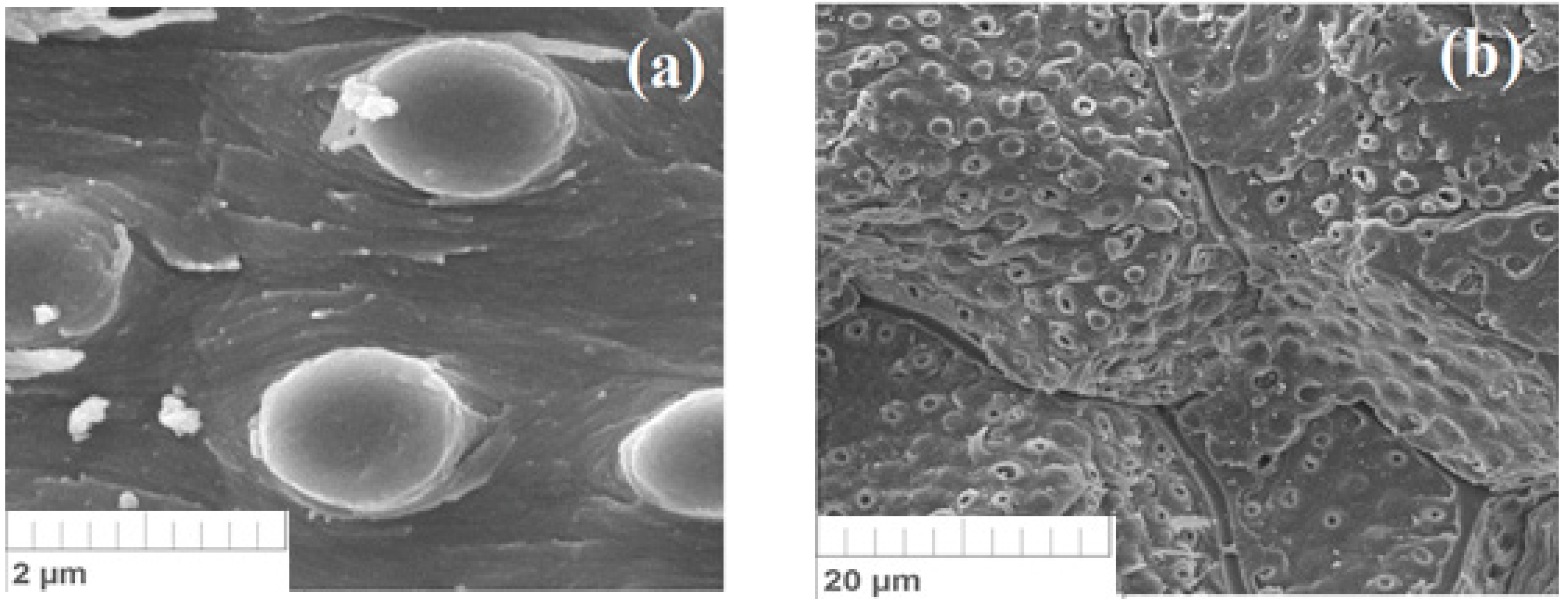 Materials 15 03428 g004a