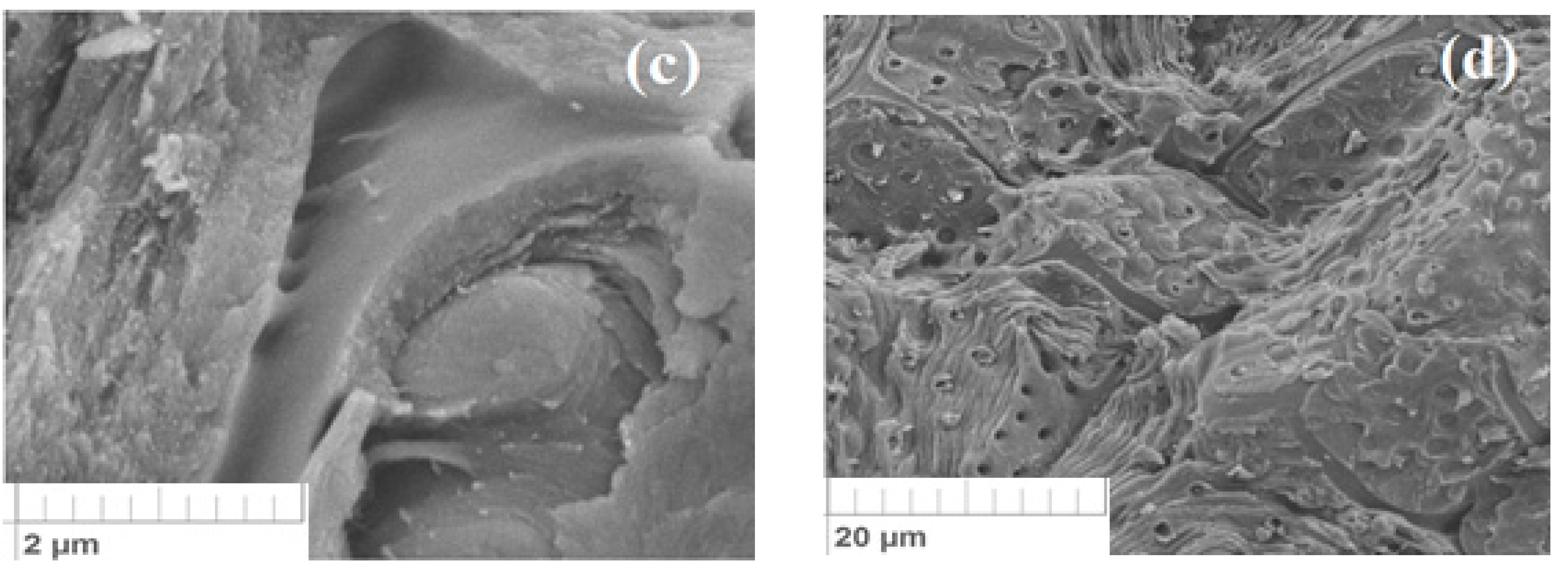 Materials 15 03428 g004b