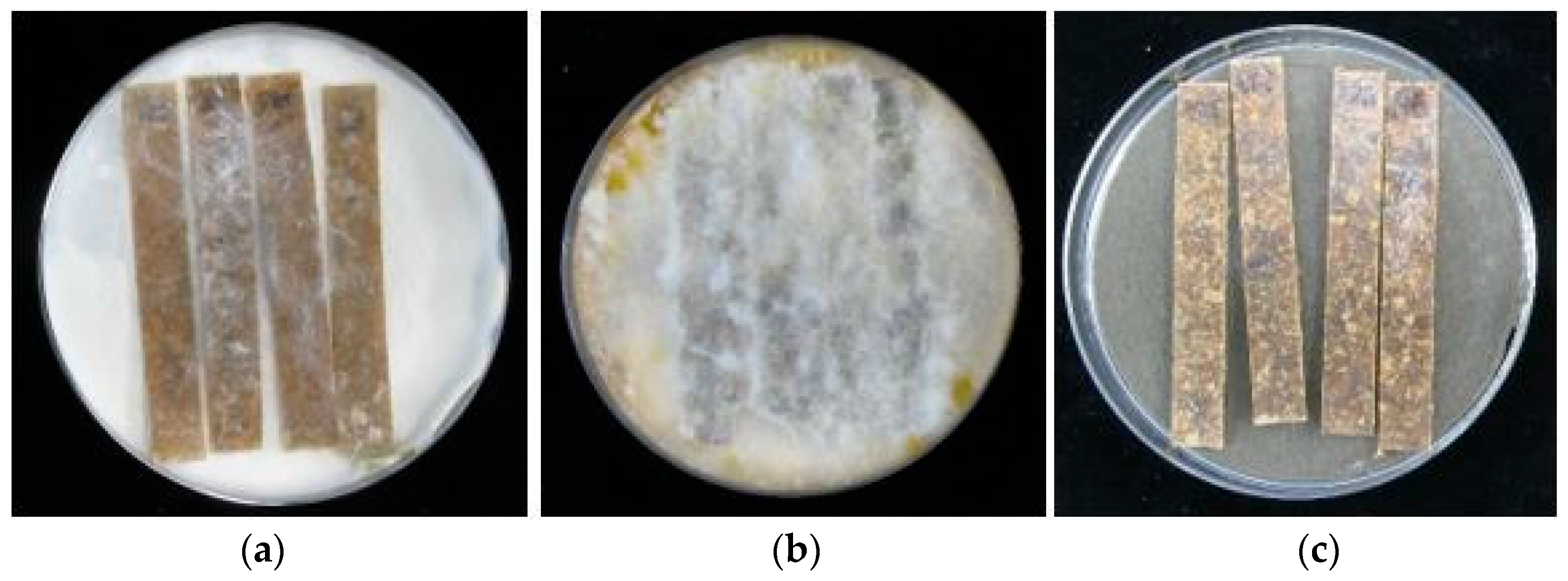 Materials 15 03435 g005 Materials 15 03435 g005