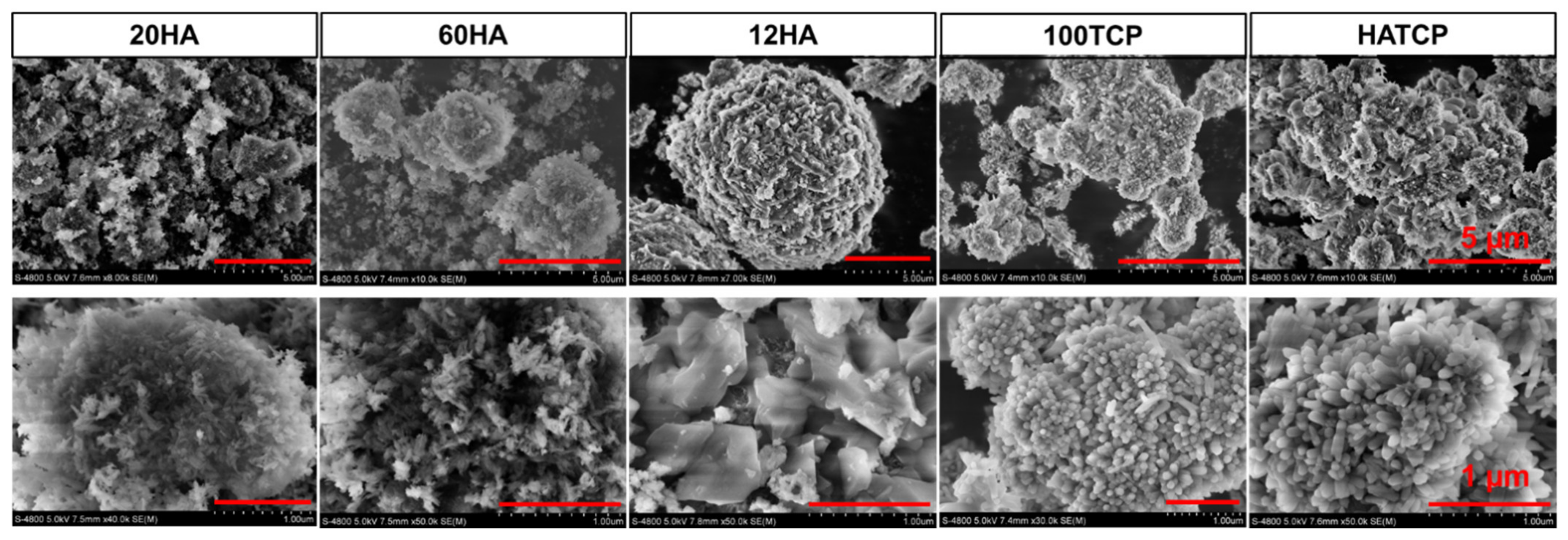 Materials 15 03440 g002 550