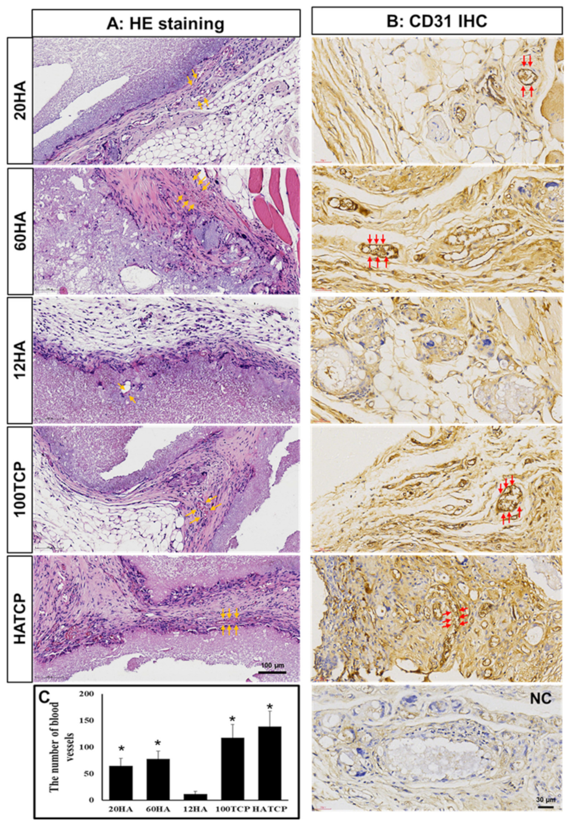 Materials 15 03440 g003 550