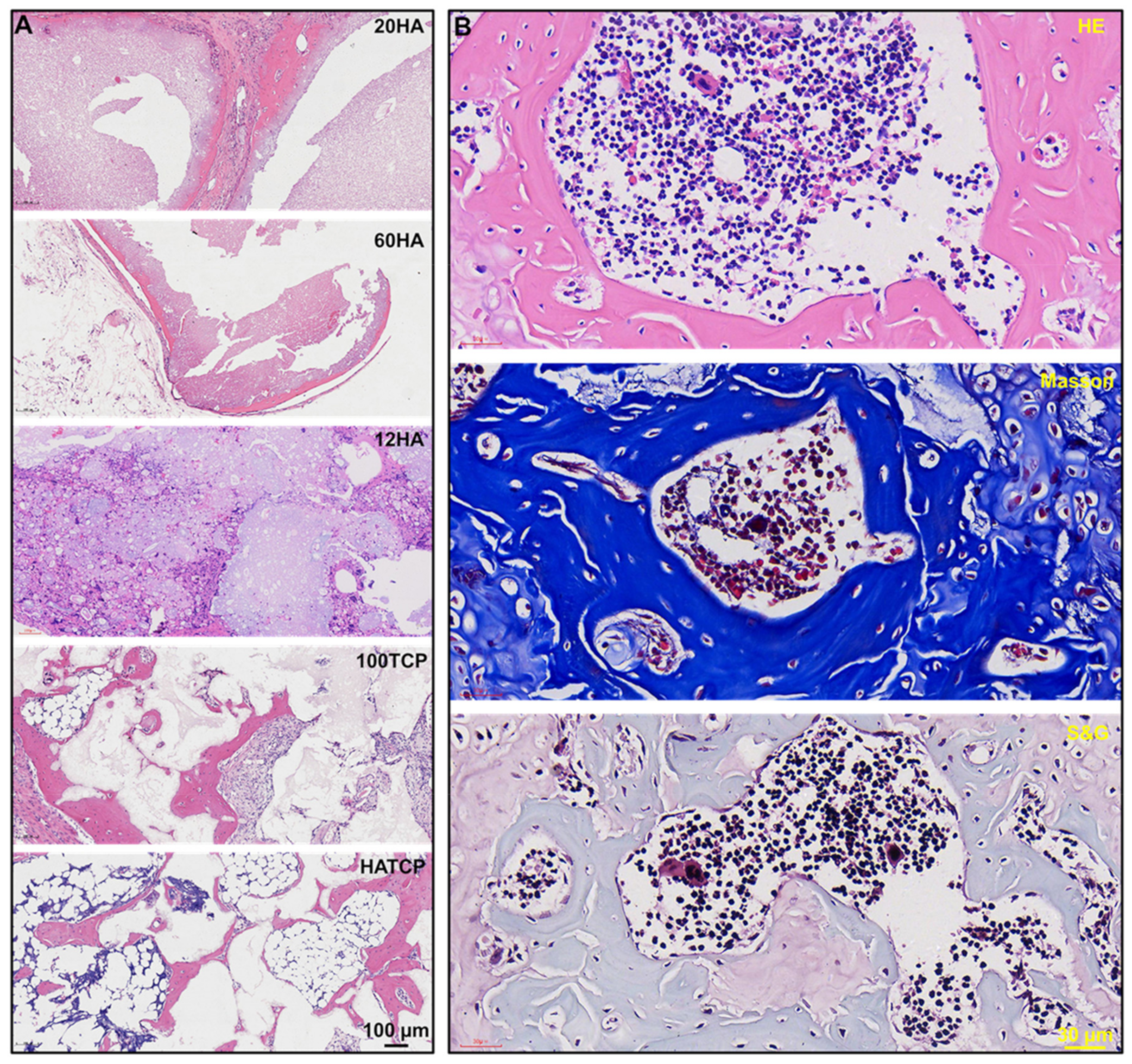 Materials 15 03440 g004 550