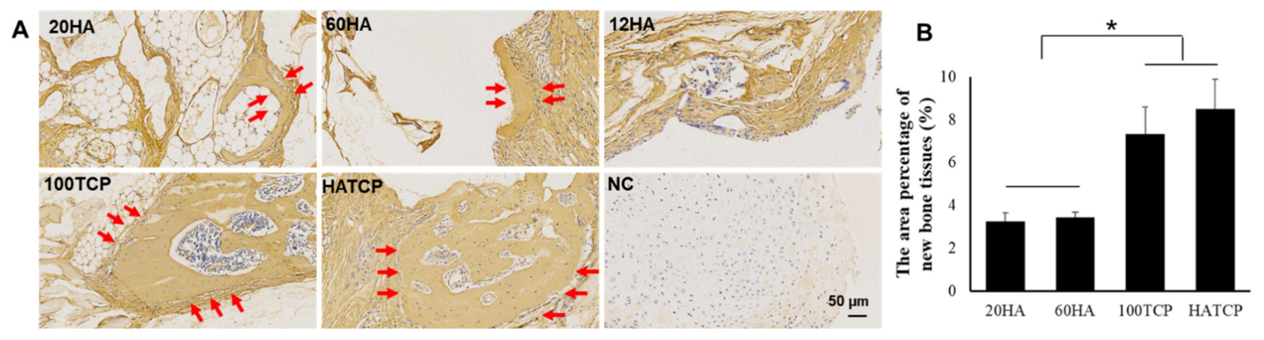 Materials 15 03440 g005 550