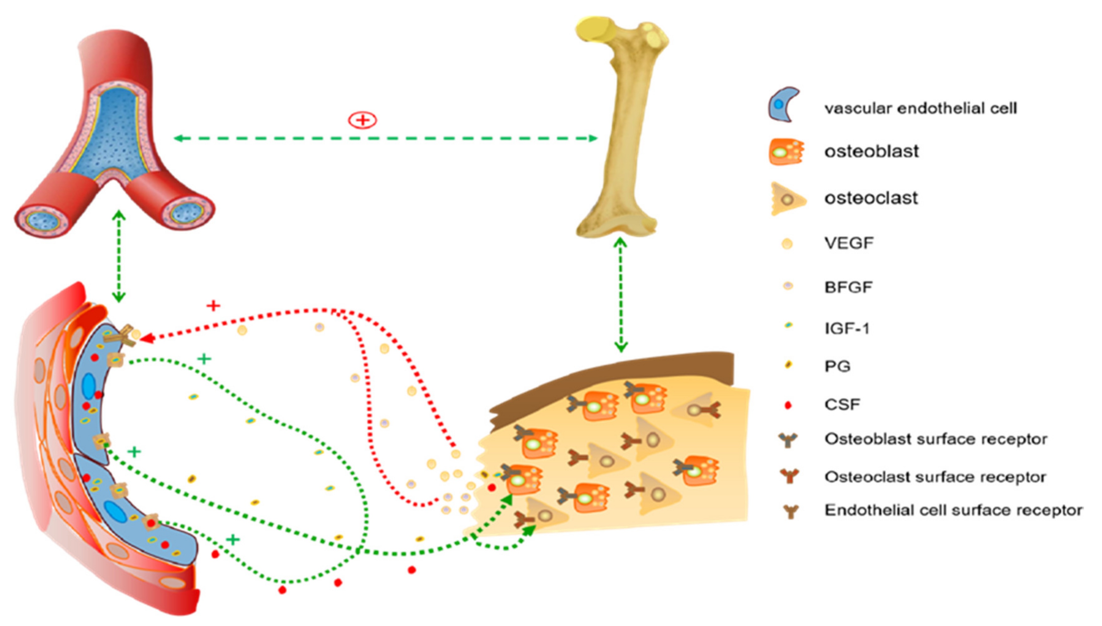 Materials 15 03440 g006 550