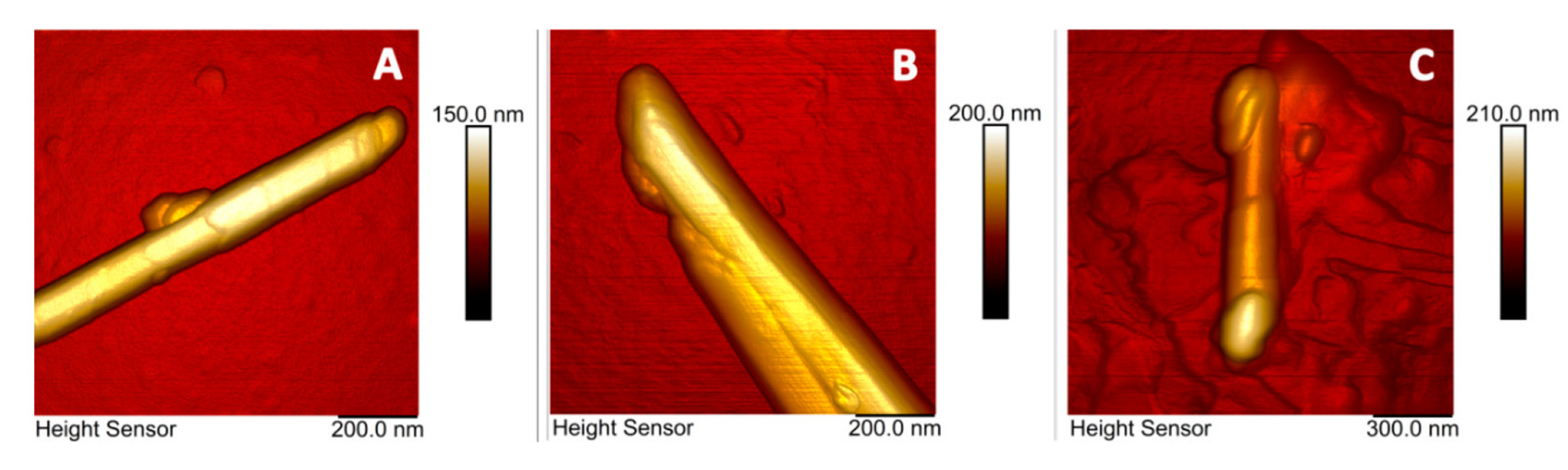 Materials 15 03441 g004
