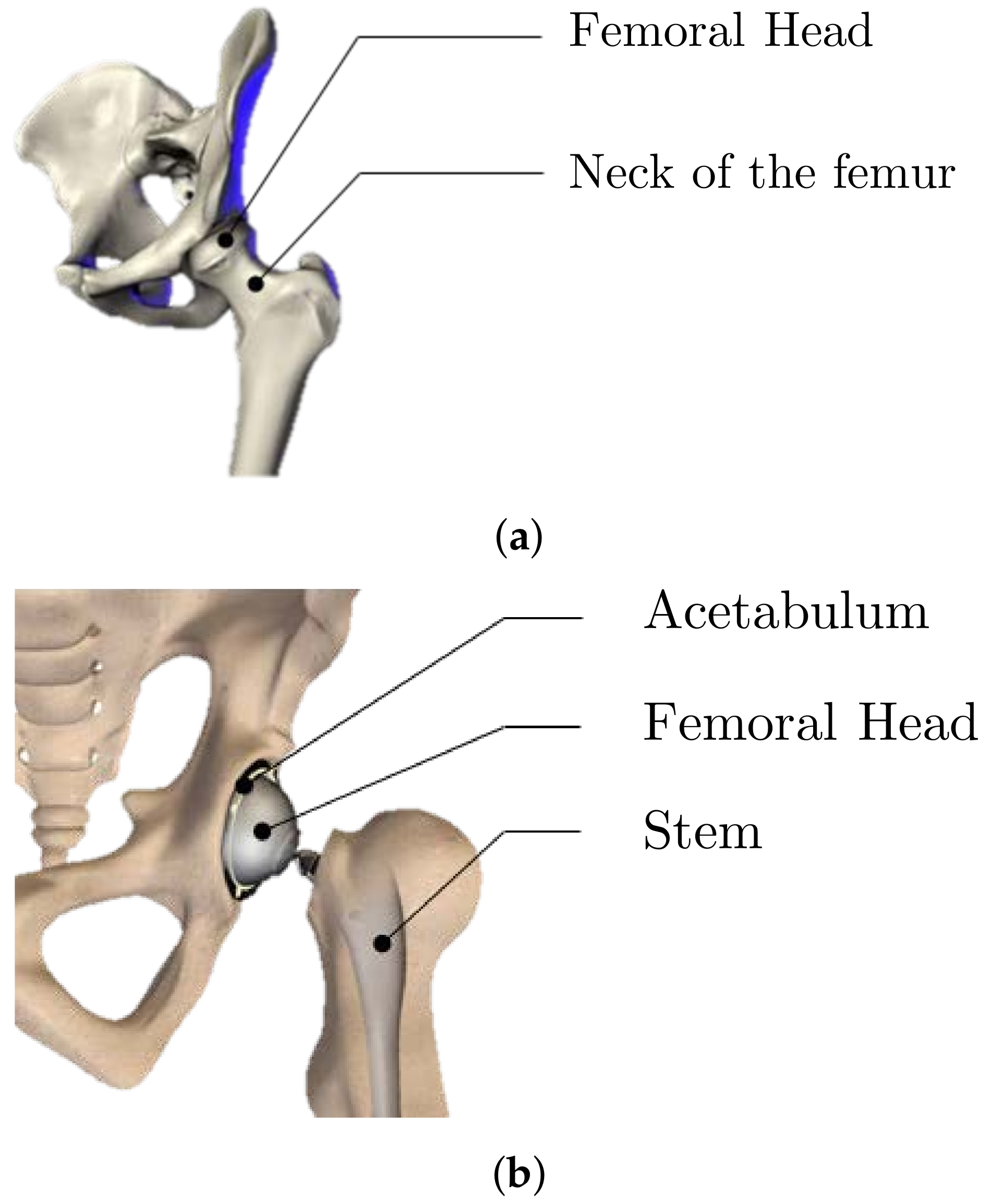 Materials 15 03442 g001