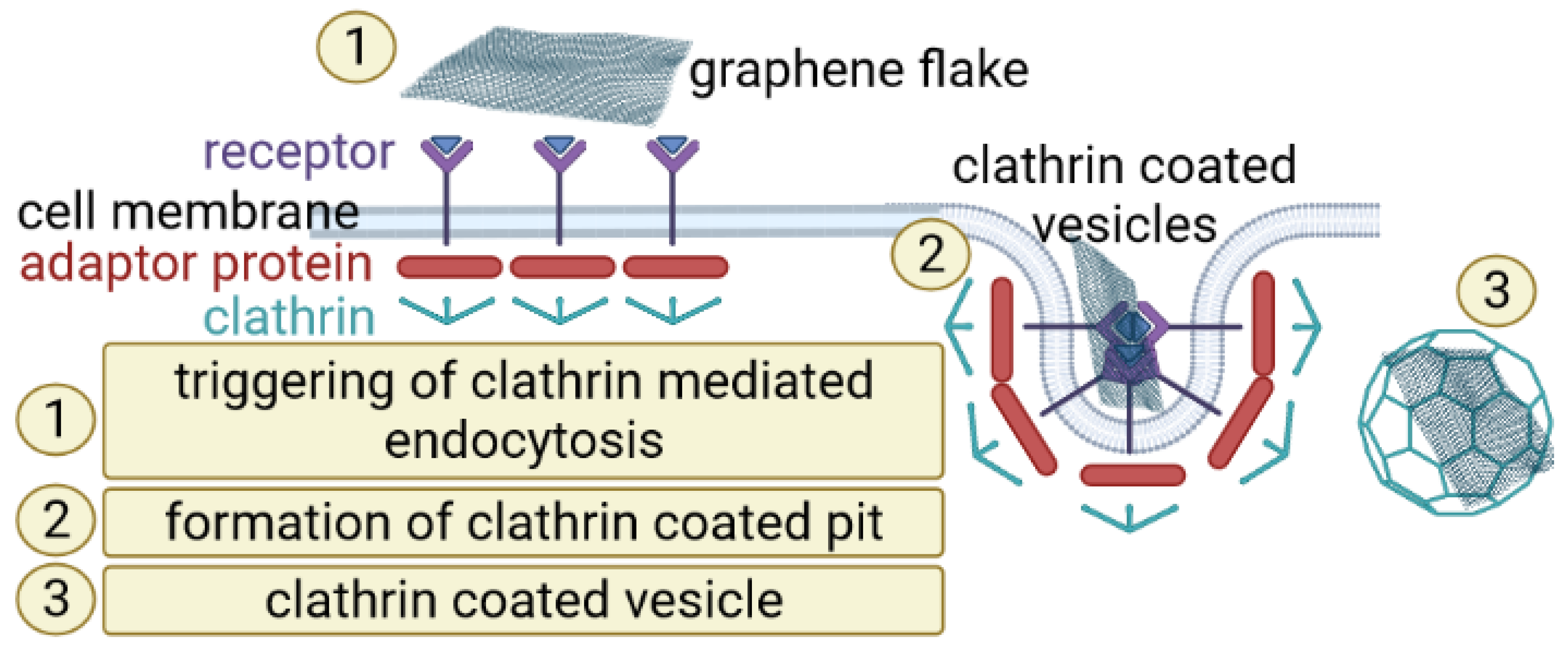 Materials 15 03456 g002 550