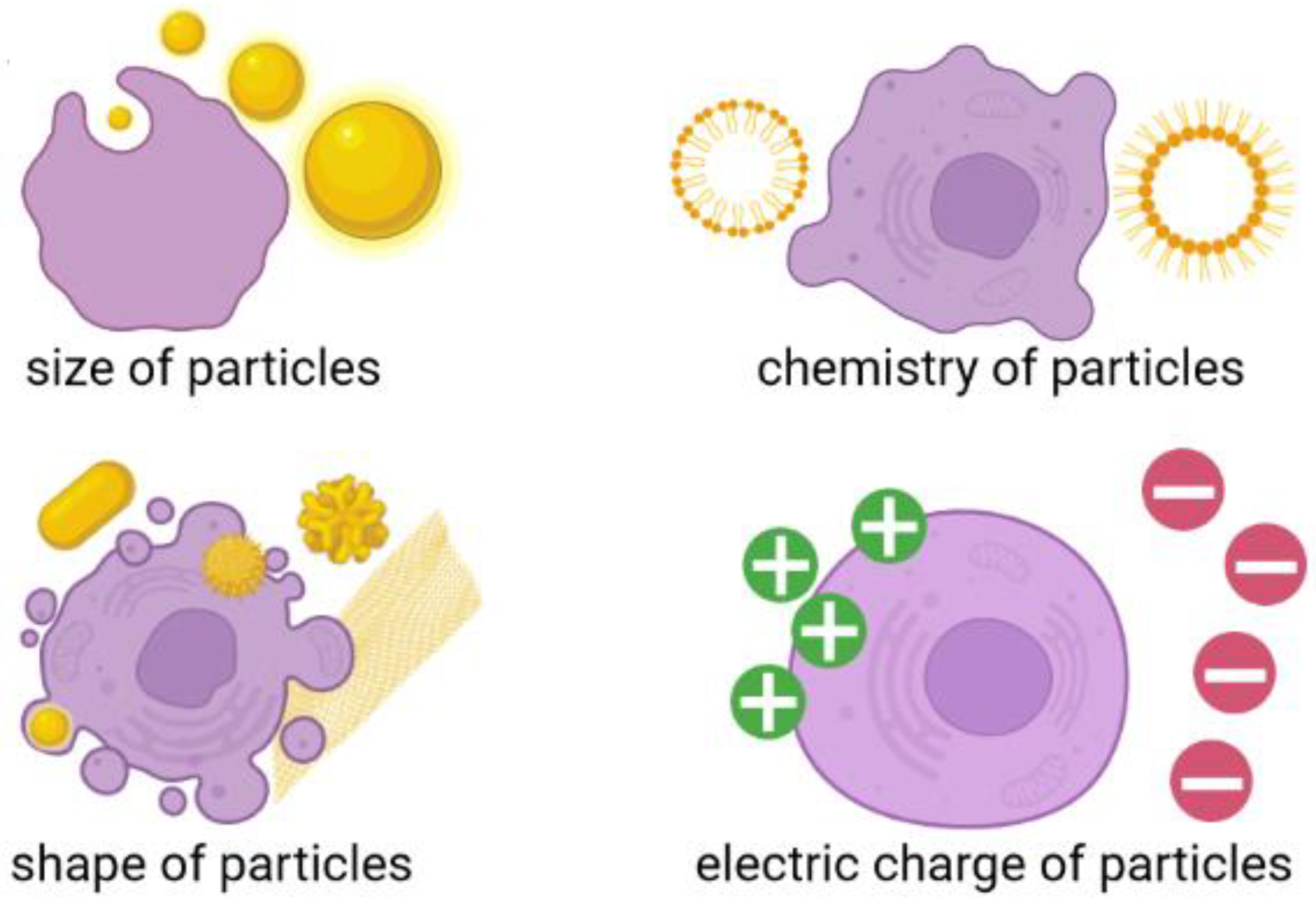 Materials 15 03456 g003 550