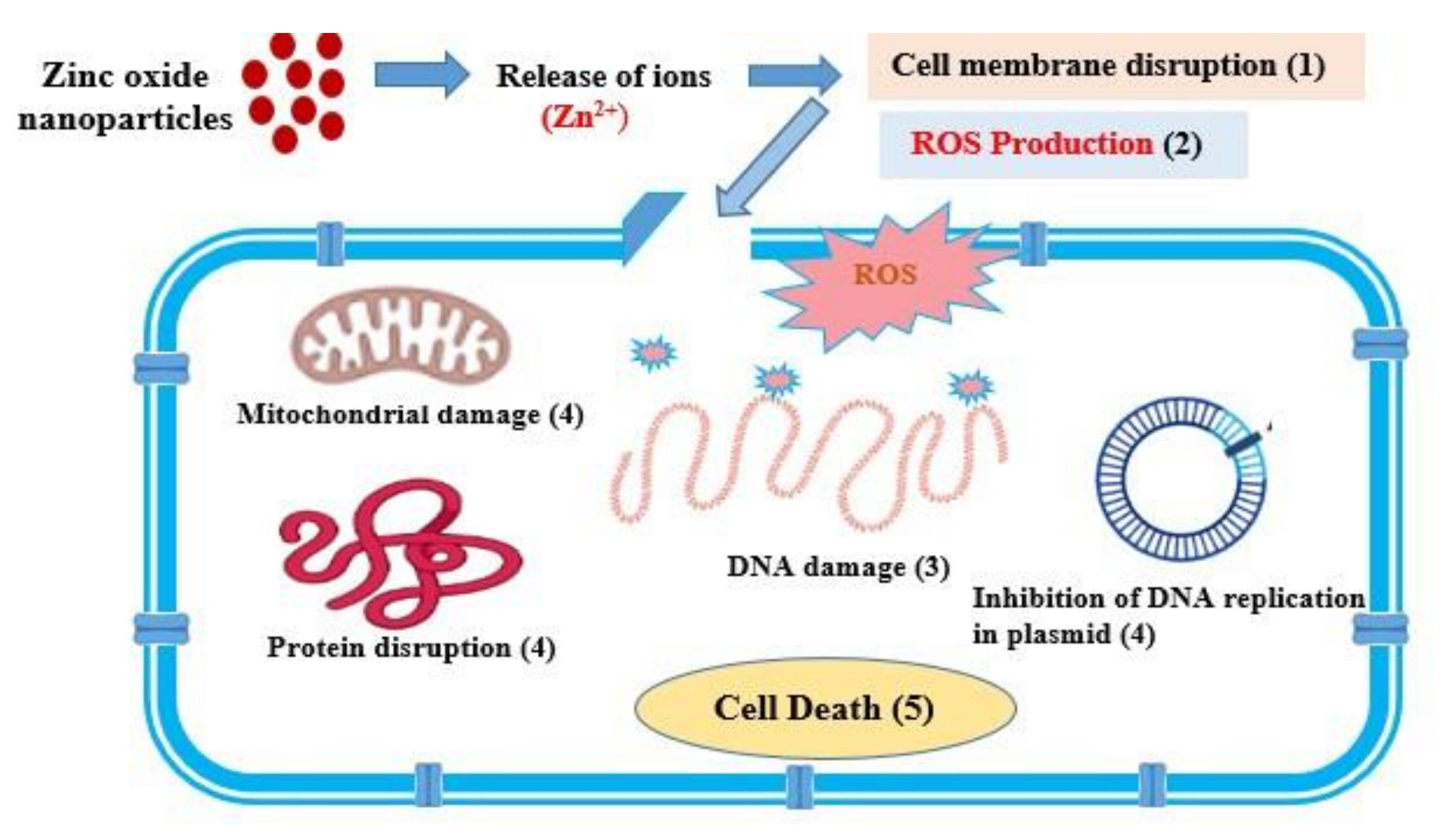 Materials 15 03470 g011 550